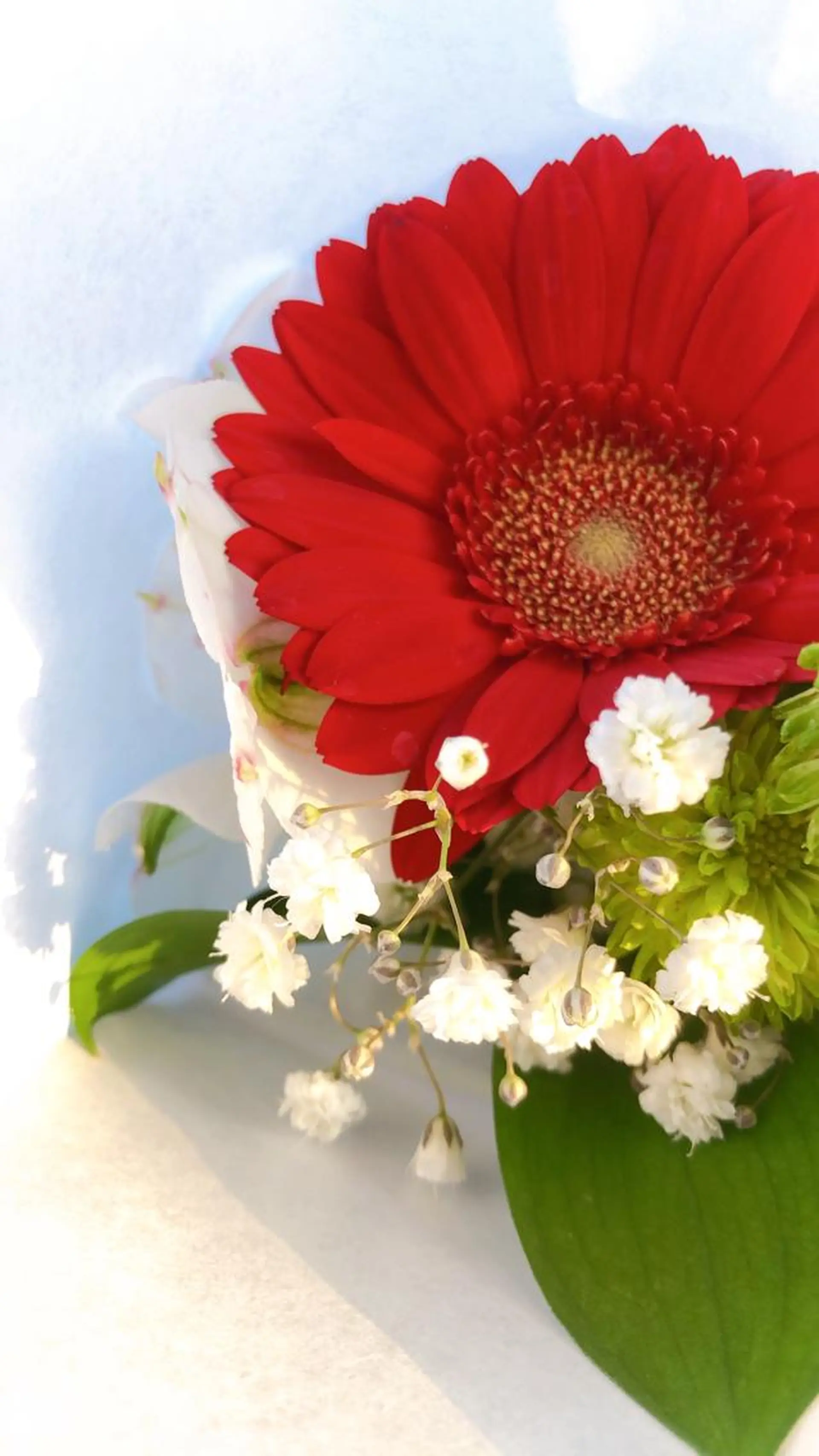 高岡⌇ Ayaka🌻のエステ・リラクイメージ