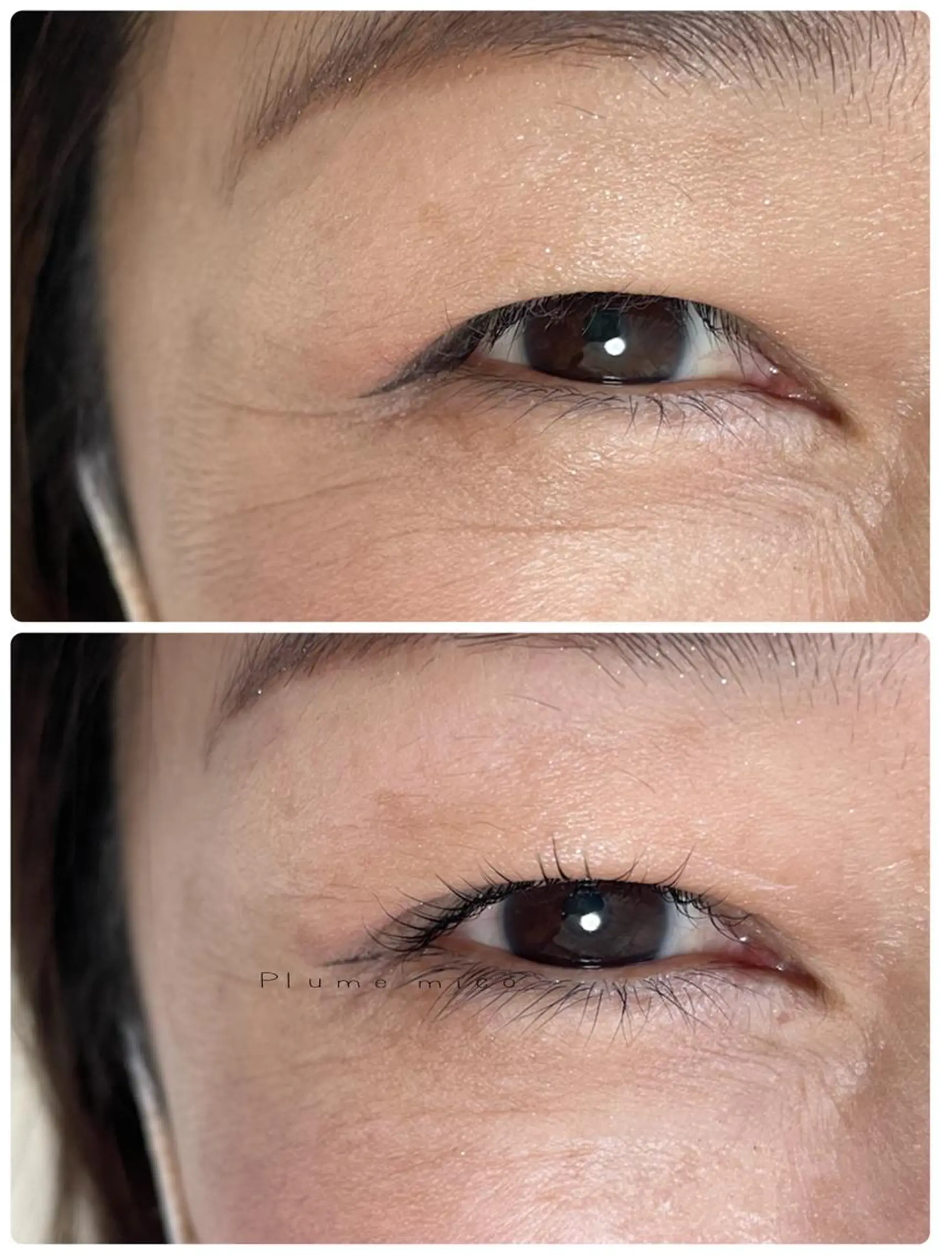 マツエク・マツパ マツパ Plume micoのマツエク・マツパデザイン