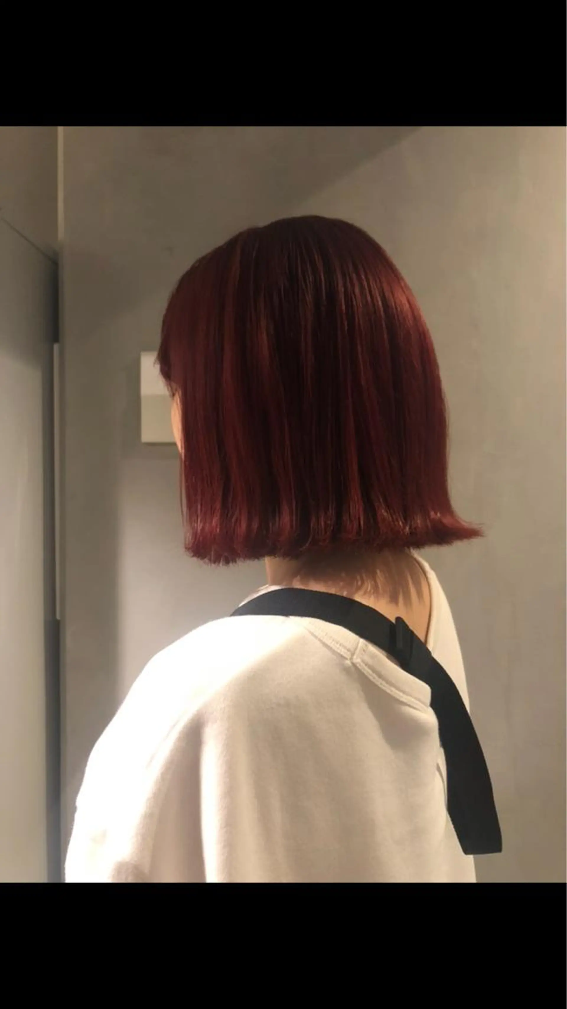 ショート カラー レッドカラー MIYU💋💖 〈XENA渋谷本店〉のヘアスタイル