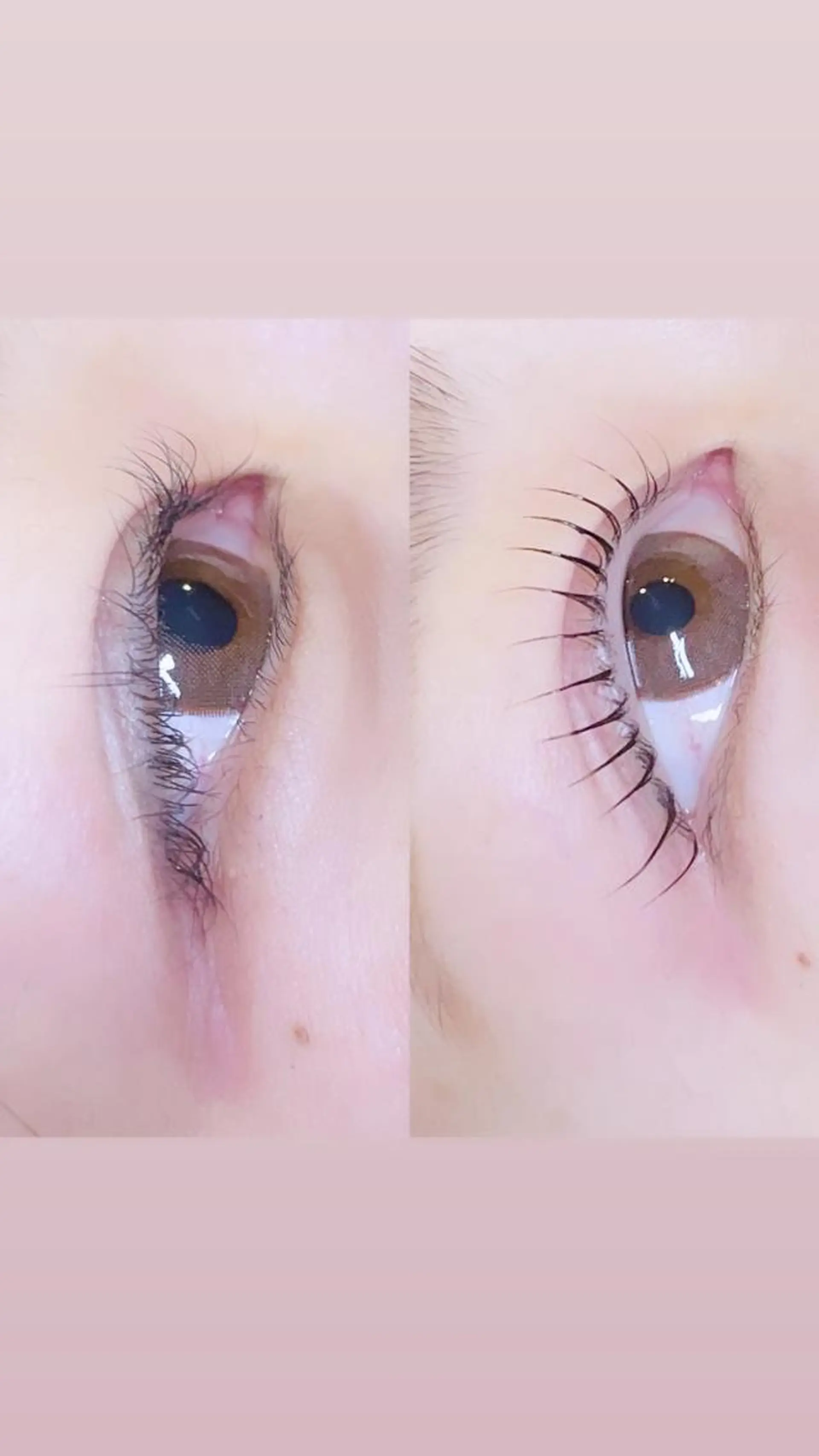 マツエク・マツパ ロニセラ アイラッシュのマツエク・マツパデザイン