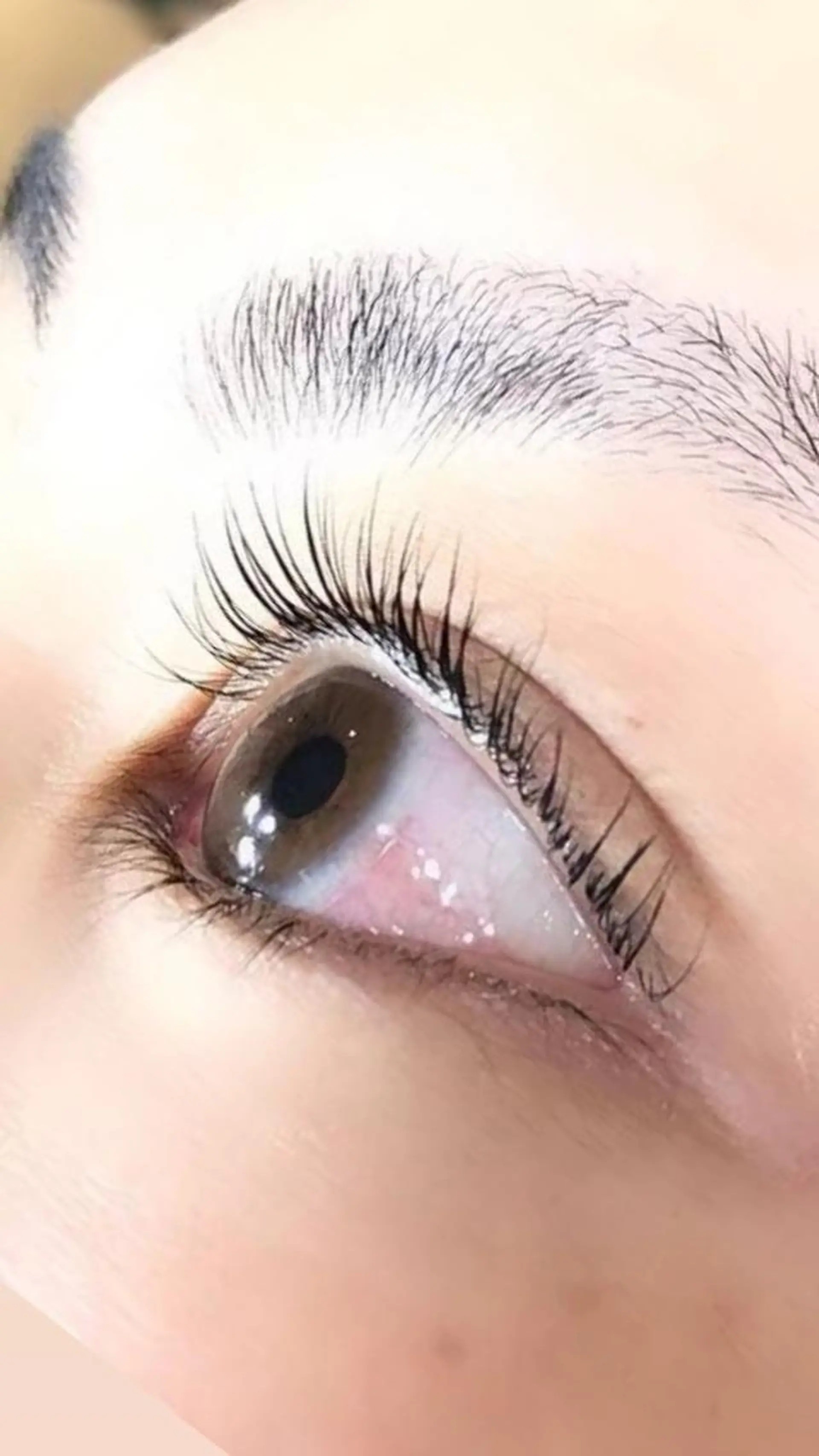 マツエク・マツパ マリーテレジア 🌻RUKAのマツエク・マツパデザイン