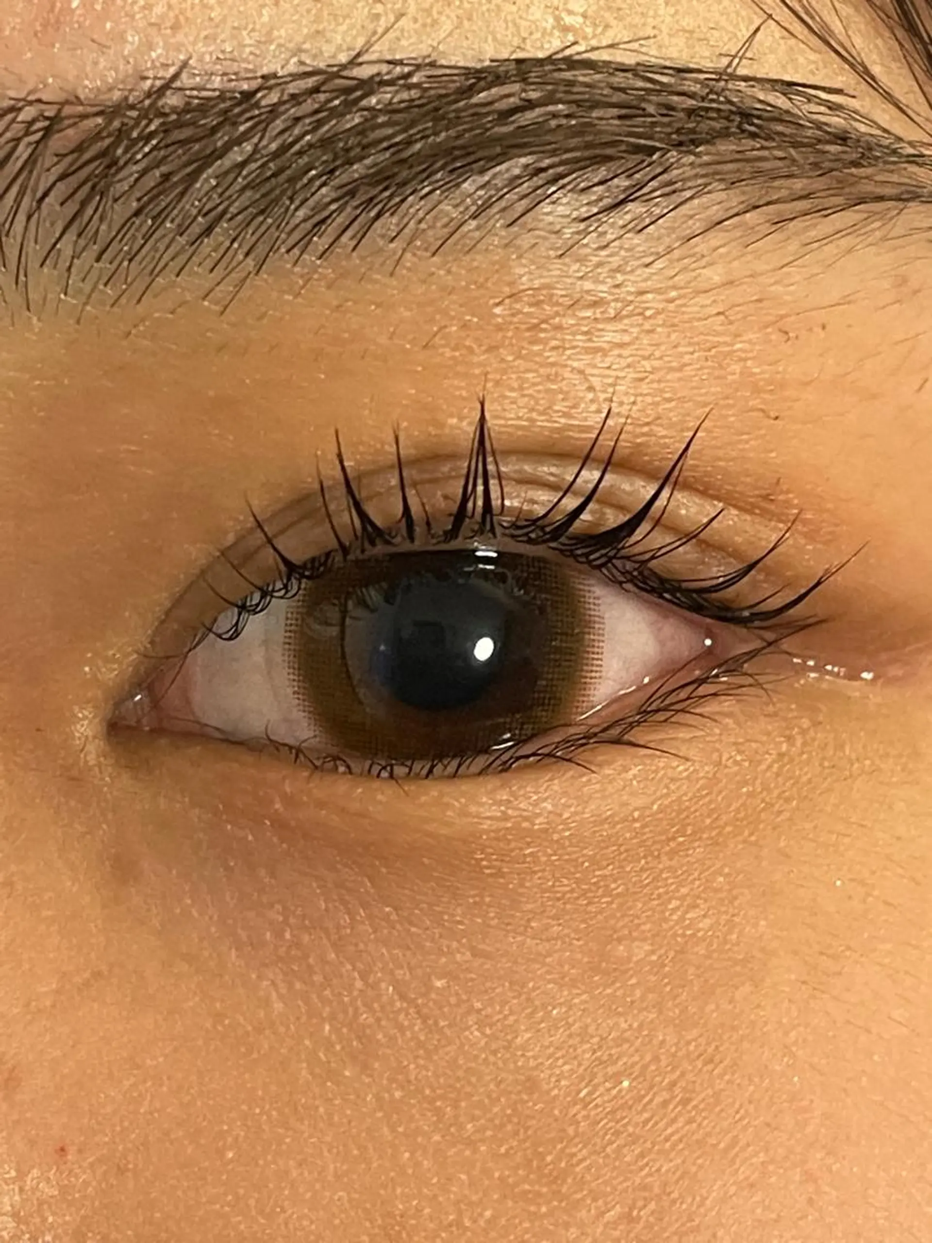 マツエク・マツパ NailandEye Lucaの眉毛・アイブロウイメージ