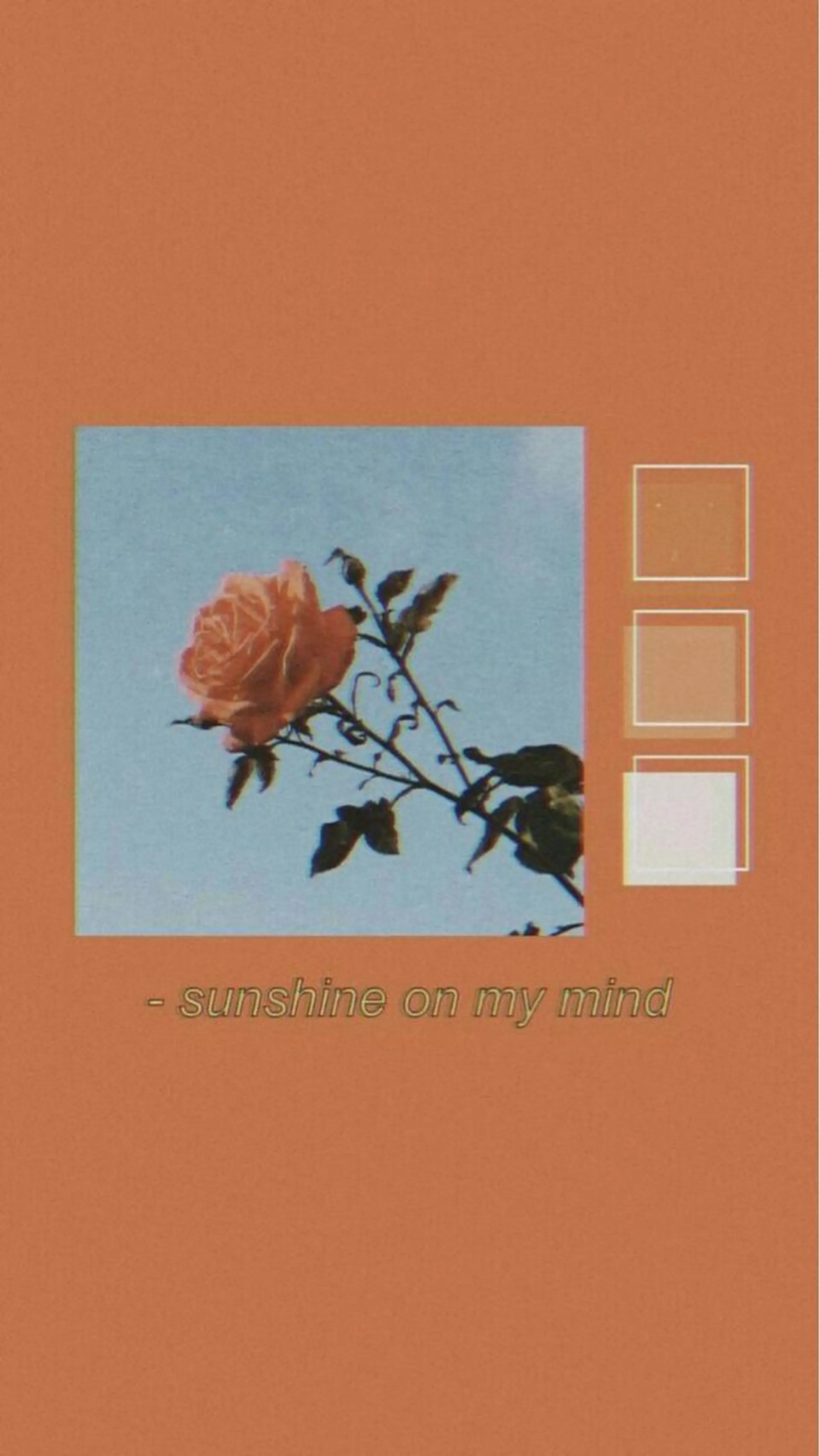 haru/レイヤー/ ウルフのヘアスタイル