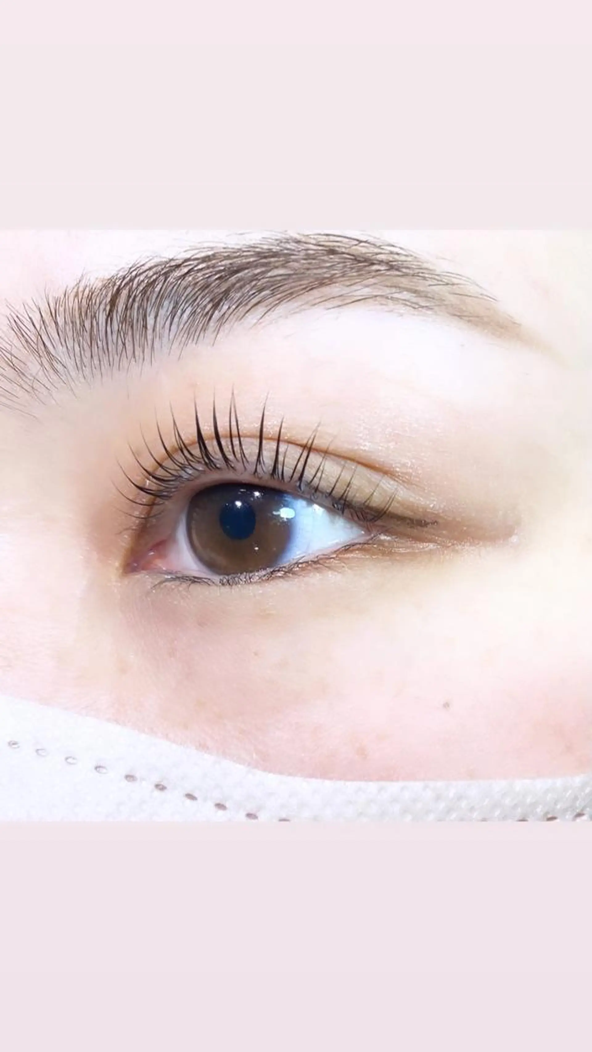 マツエク・マツパ パリジェンヌラッシュリフト 艶カラー/耳つぼ/ 渡辺奈緒のその他イメージ