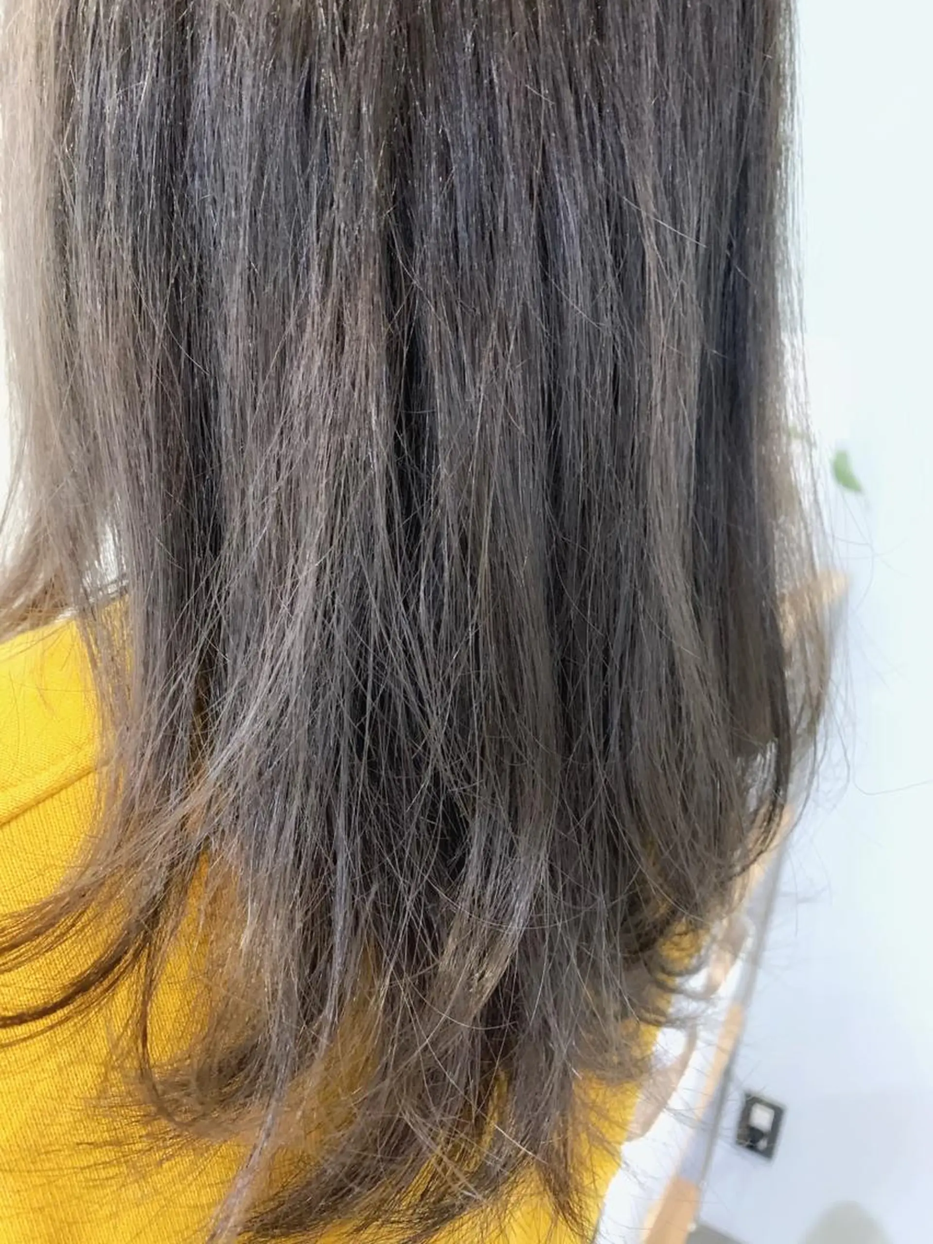 カラー グレージュ ハイライトカラー オリーブグレージュ オリーブグレー 鈴木 真司のヘアスタイル