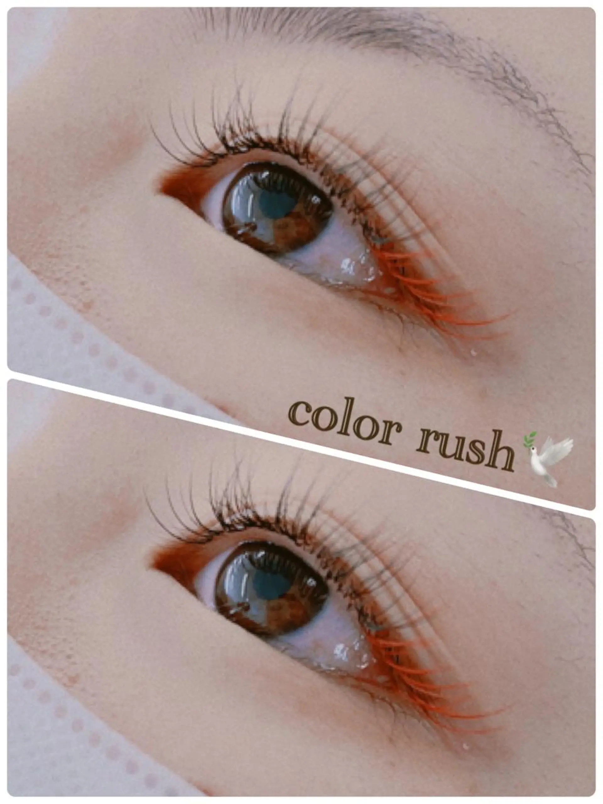 マツエク・マツパ WE RULE 札幌店 【ウィールール 札幌店】所属・✨️大人ショート 髙橋朋花のヘアスタイル