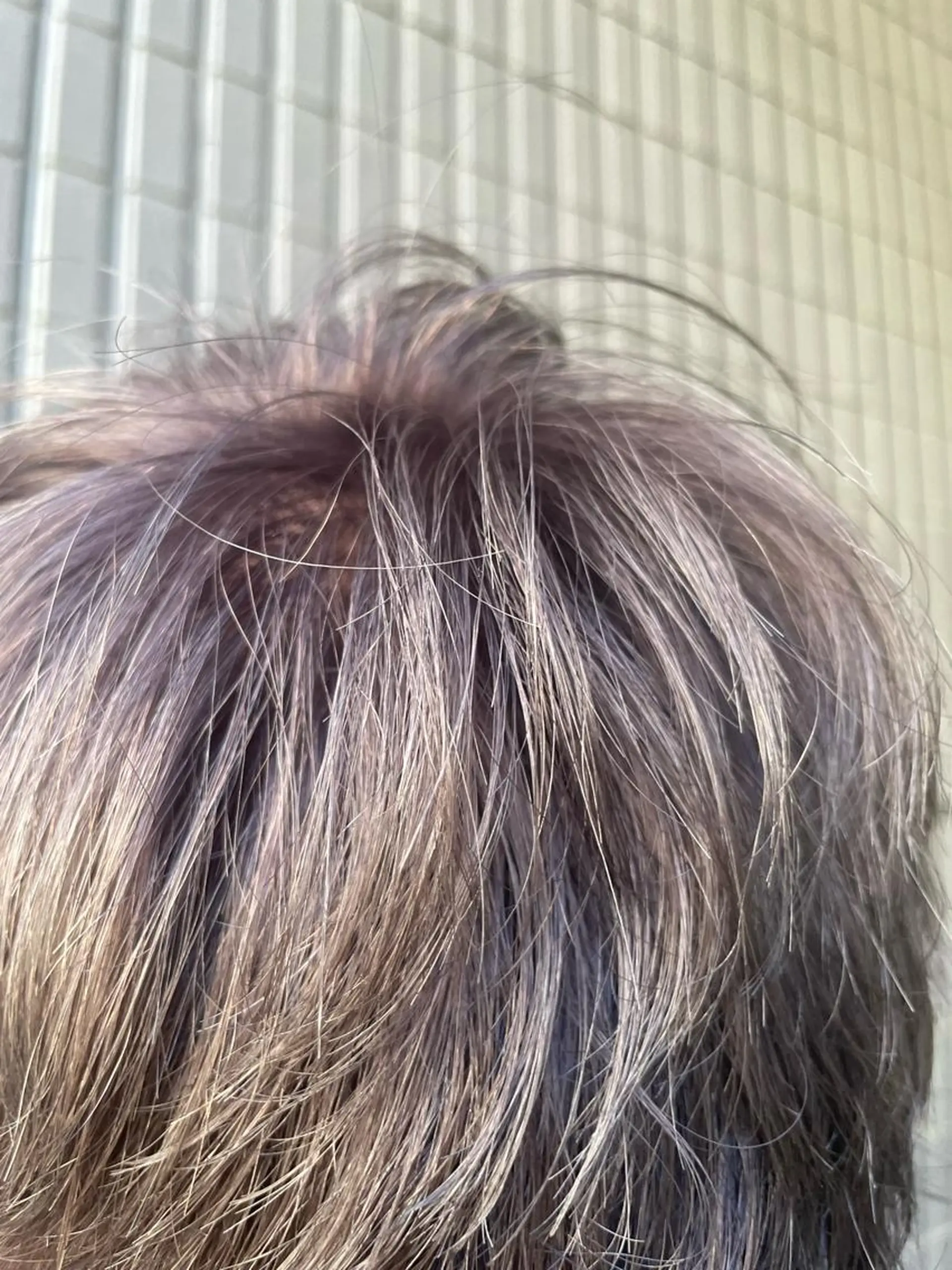 ショート カラー メンズ メンズブリーチ ブリーチ グレージュ ラベンダーカラー ラベンダーグレージュ ヘアカラー 野町好花 レイヤー/髪質改善のヘアスタイル