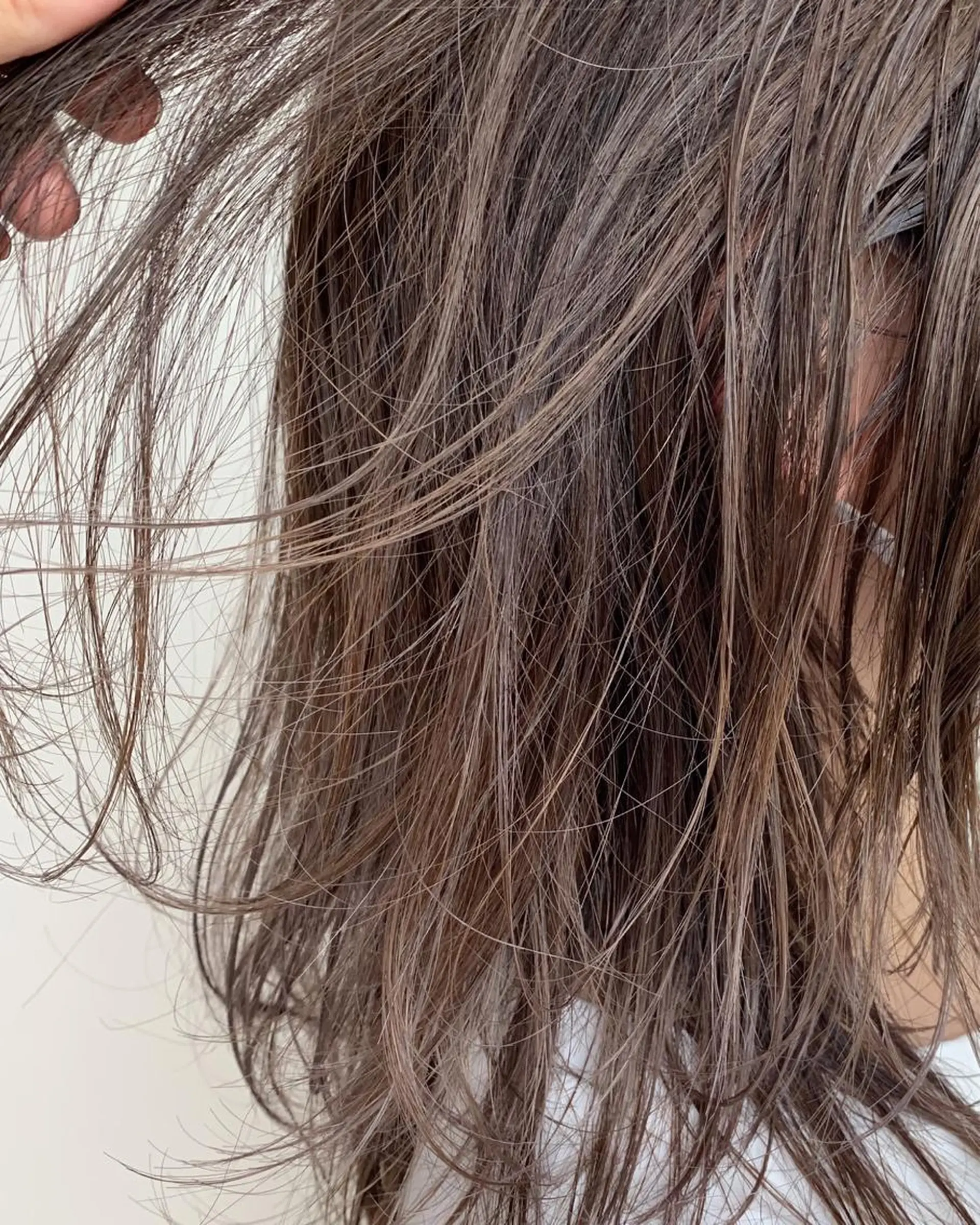 セミロング ハイライト ANY／SUE 千葉パーマのヘアスタイル