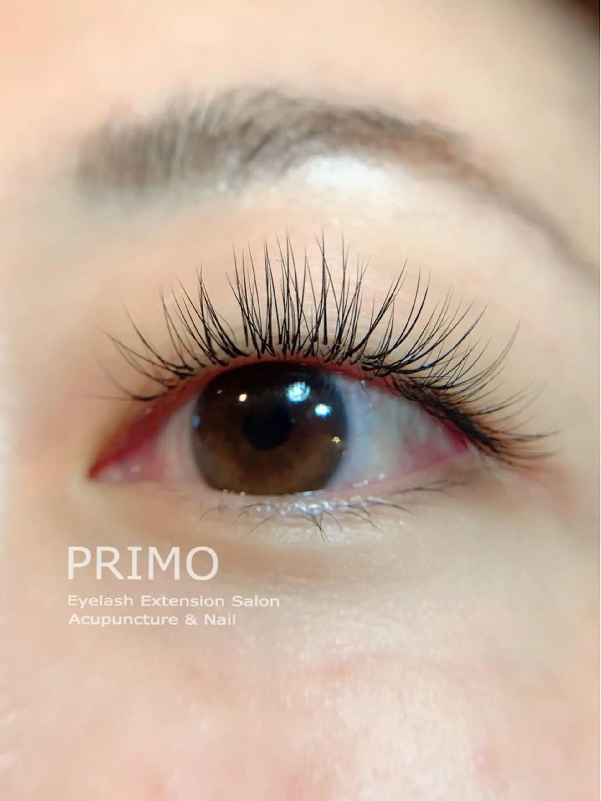 マツエク・マツパ PRIMO🐈🌱 マツパ/黒ティントのマツエク・マツパデザイン