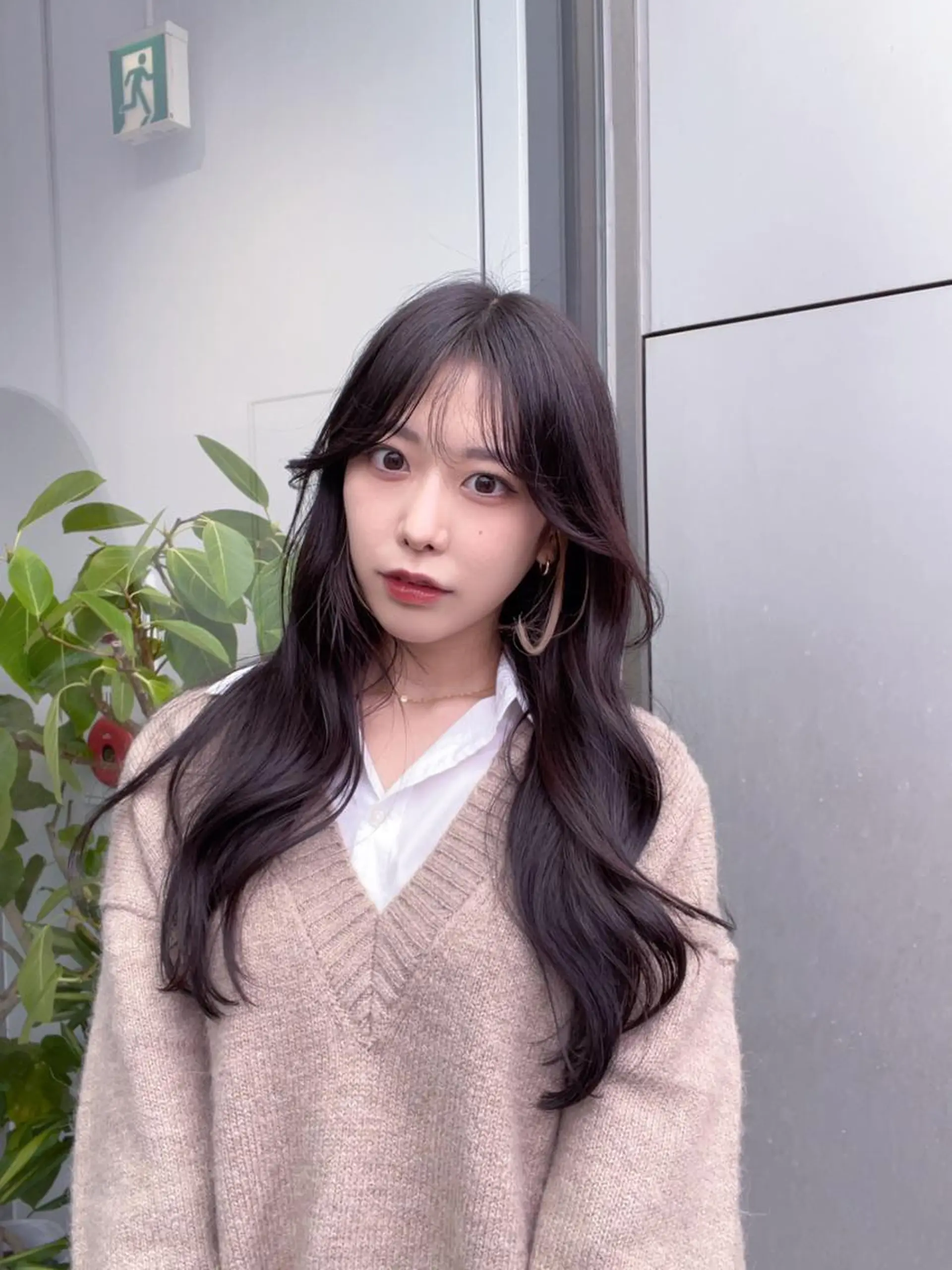 セミロング カット ヘアカラー トリートメント 🌫️大人韓国ヘア 🌫️naoyaのヘアスタイル