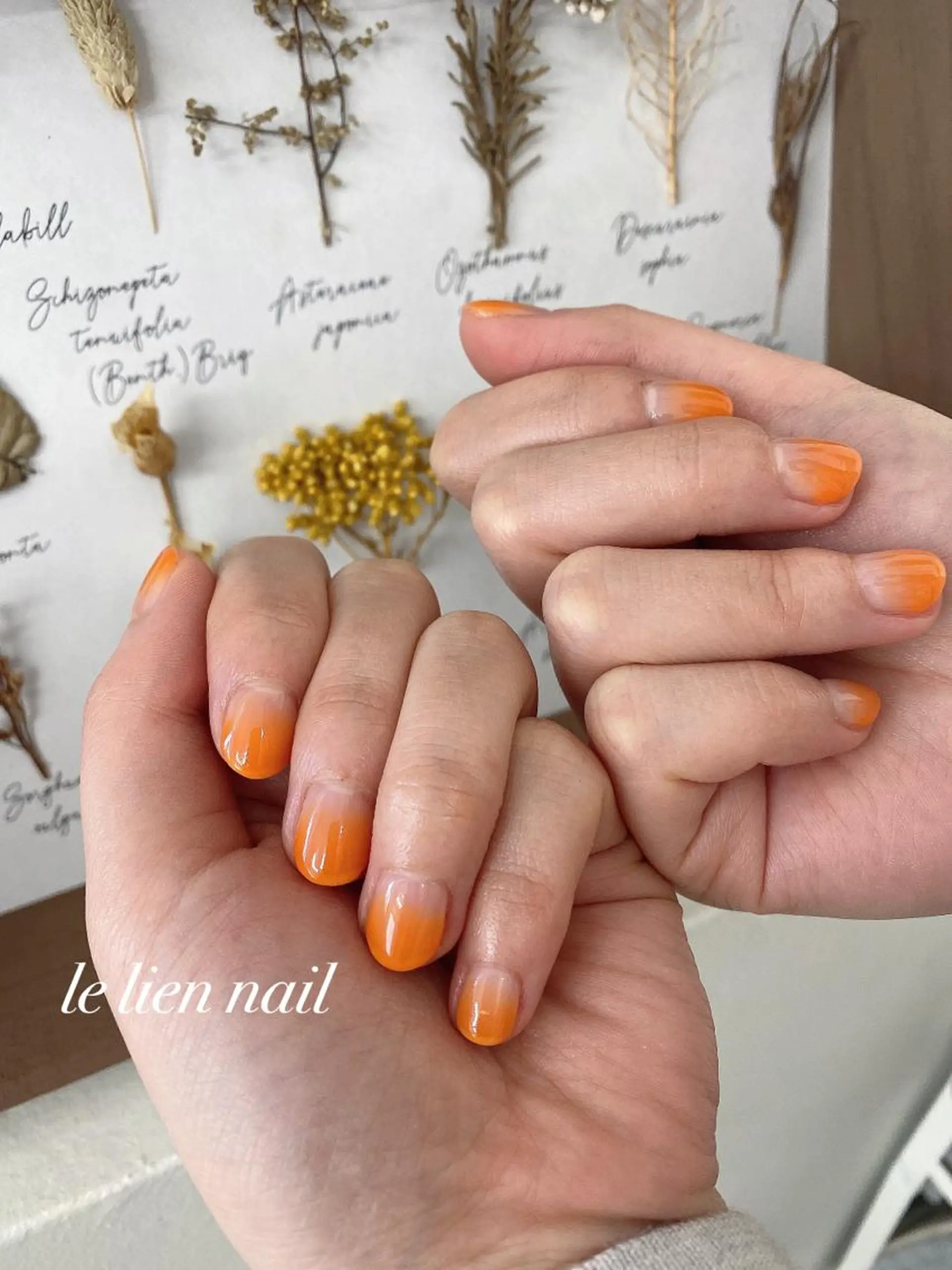 ネイル グラデーション ハンドネイル le lien nailのネイルデザイン
