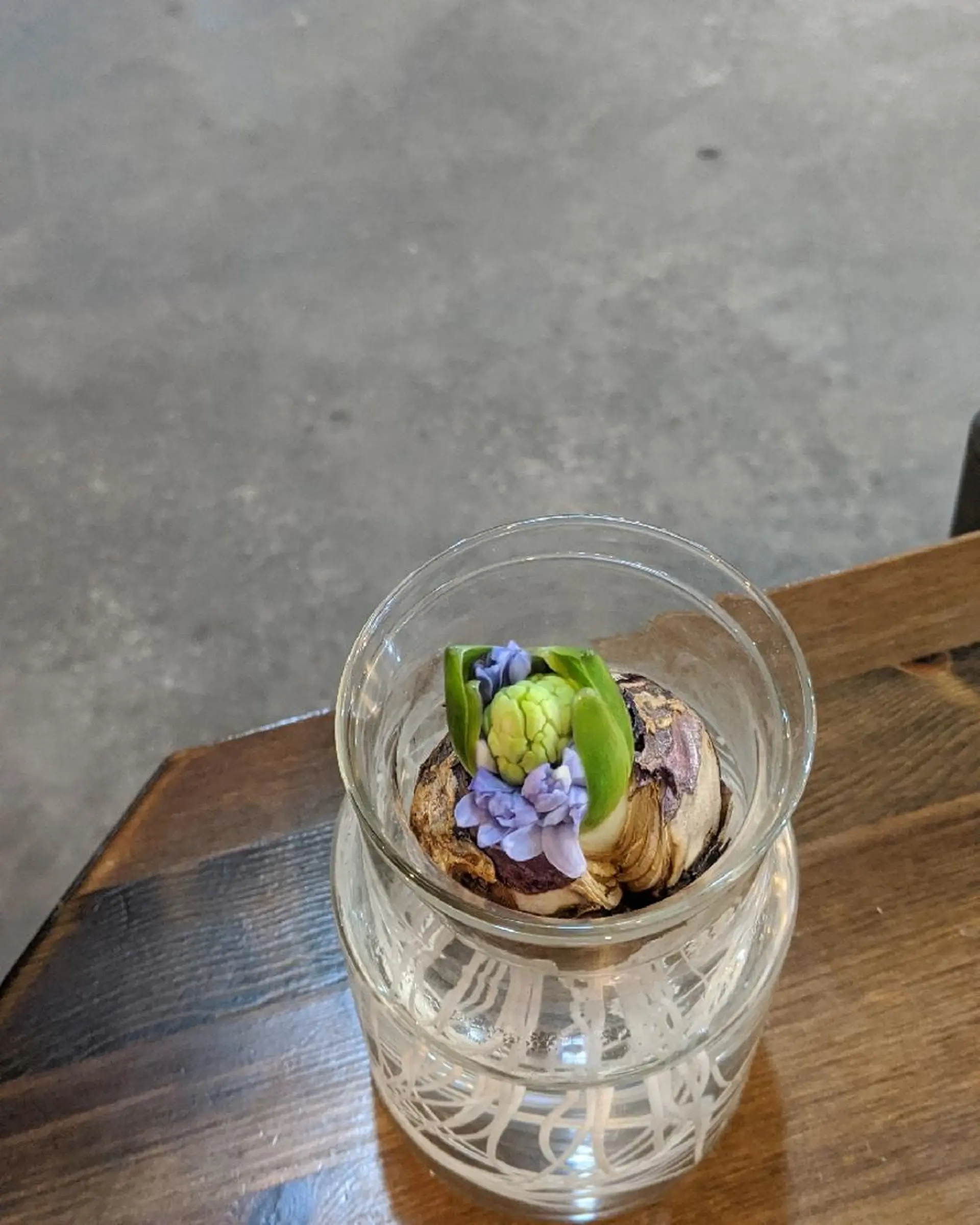 ミディアム カラー ヘアアレンジ 南堀江 möwen ( メーヴェ )所属・mowen RUIのヘアスタイル