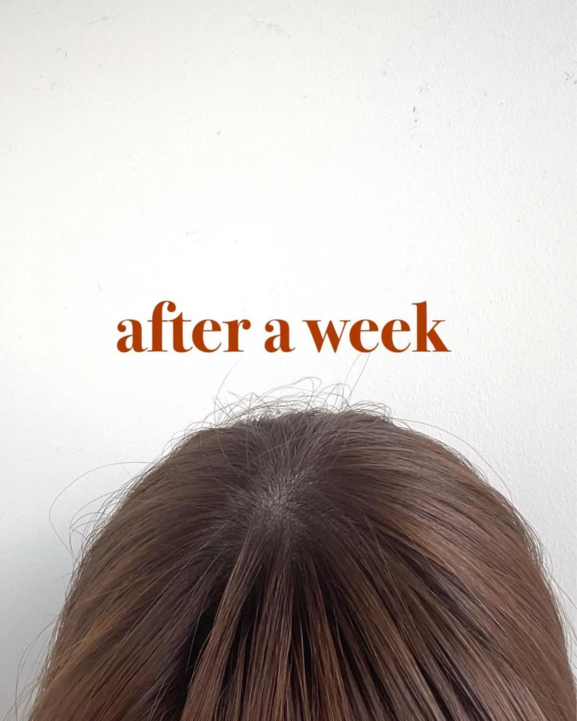 カラー ベージュカラー ブラウンカラー ナチュラルブラウン ボブ/ミディアム 親しみやすさ/さくらのヘアスタイル