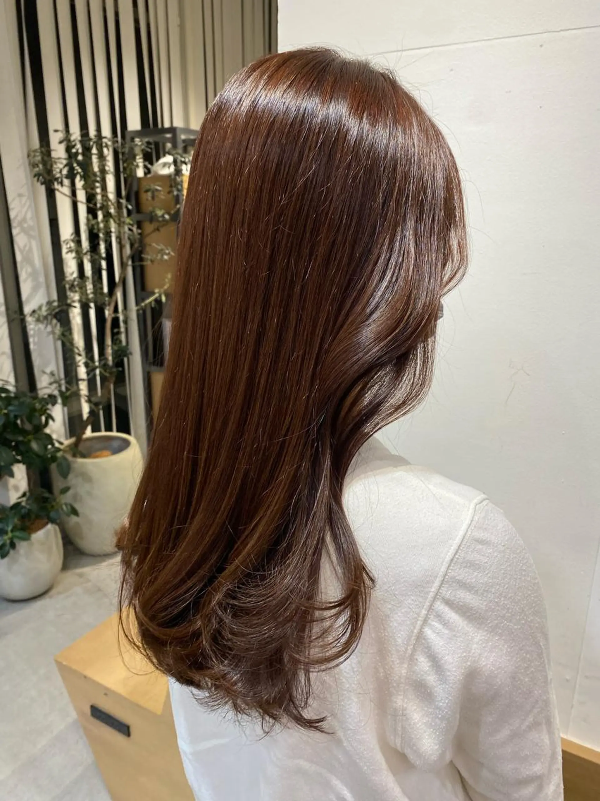 ロング カラー 透明感カラー ヘアカラー SHEA +所属・SHEA 遥海 レイヤー/アイブロウの眉毛・アイブロウイメージ