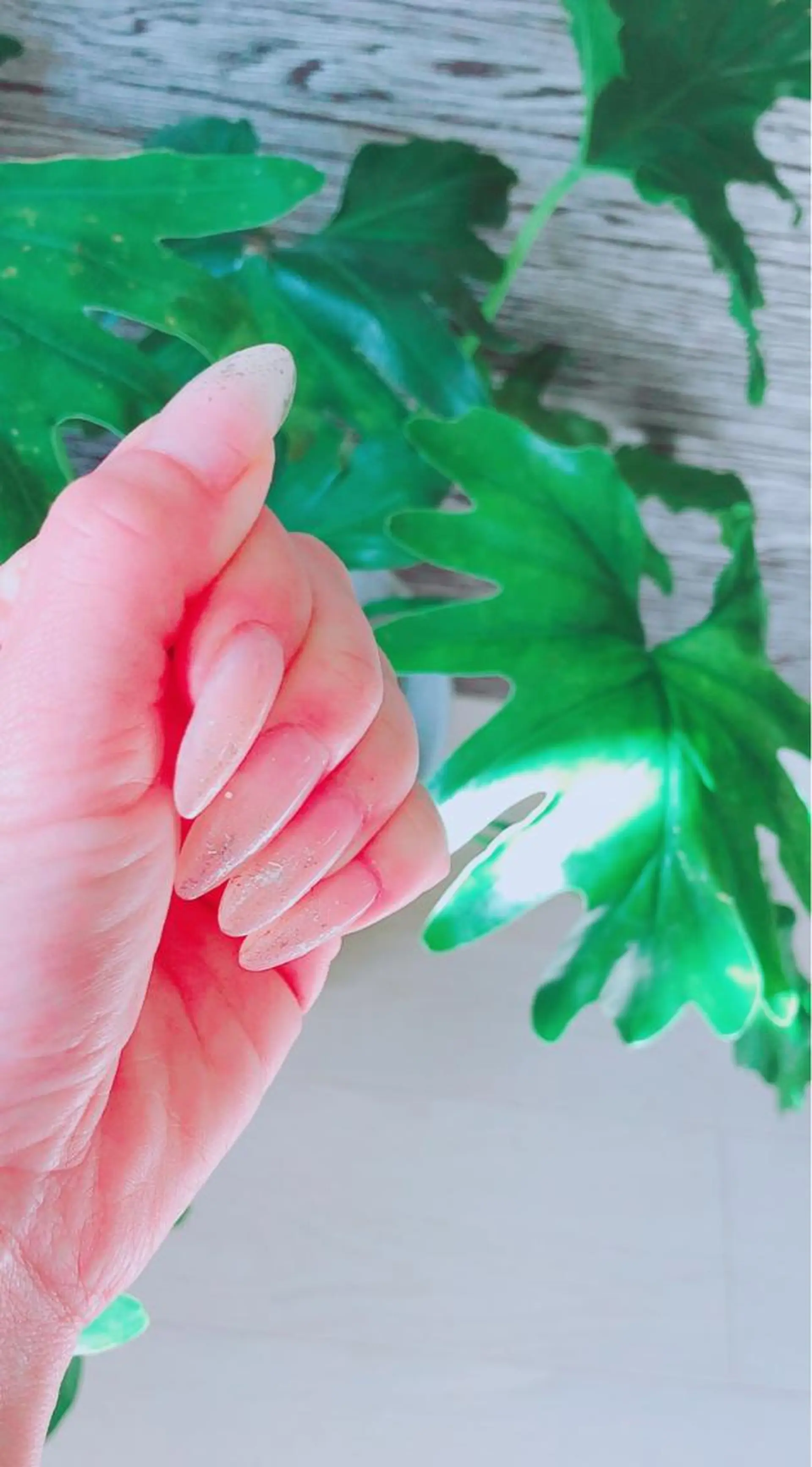 ネイル studio bello所属・KOTORI NAILのネイルデザイン