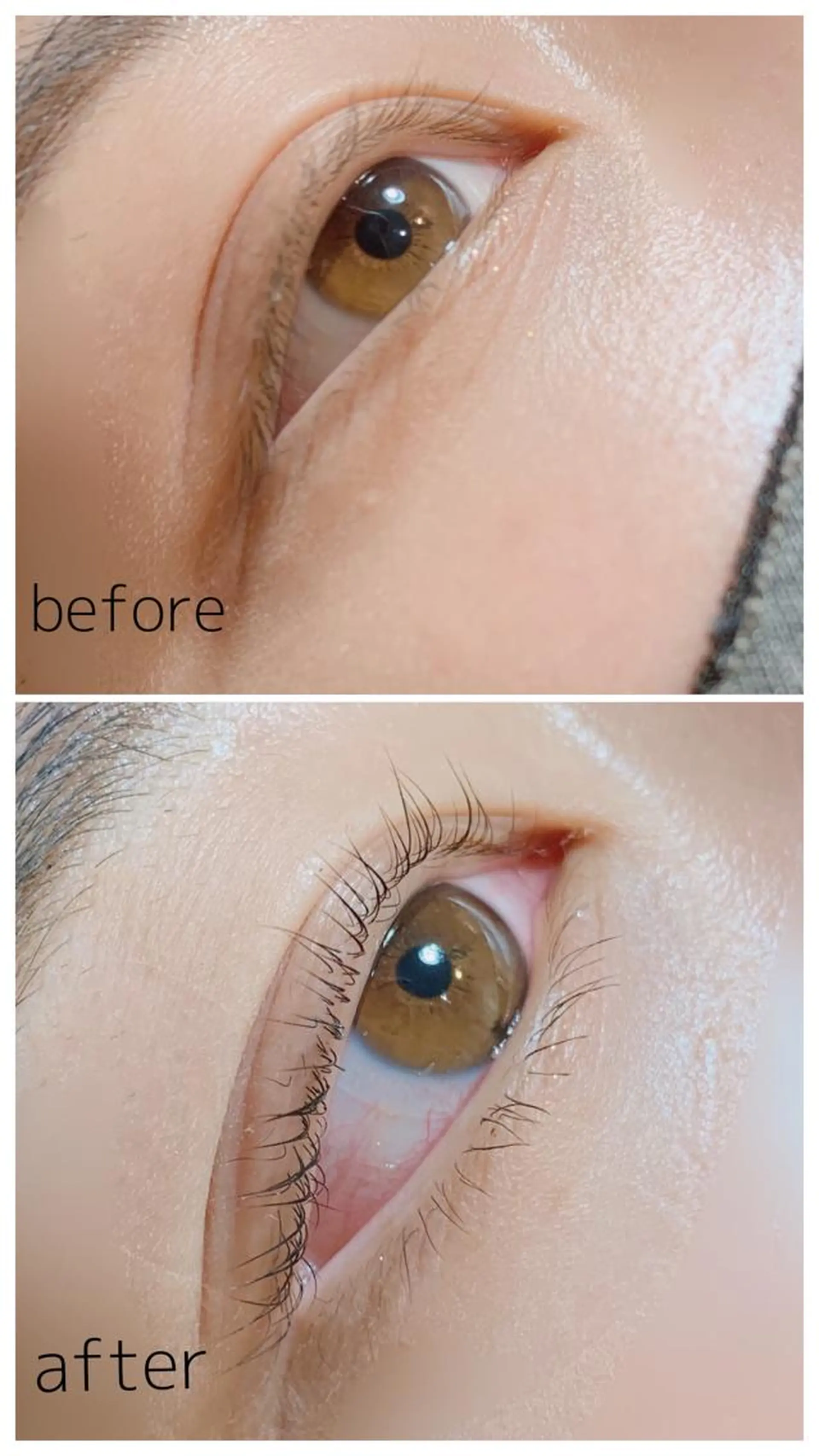 マツエク・マツパ CLOVER一宮店所属・岩佐 朋香のマツエク・マツパデザイン