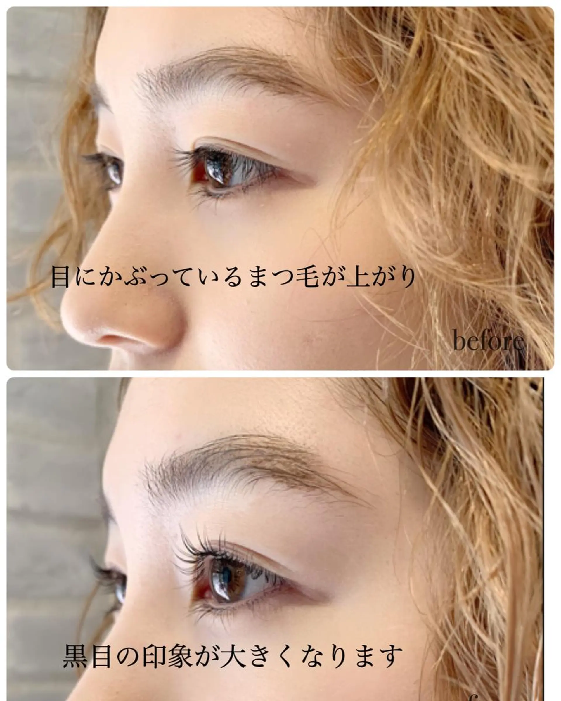 マツエク・マツパ noel/sylph ヘアとまつぱと眉のマツエク・マツパデザイン