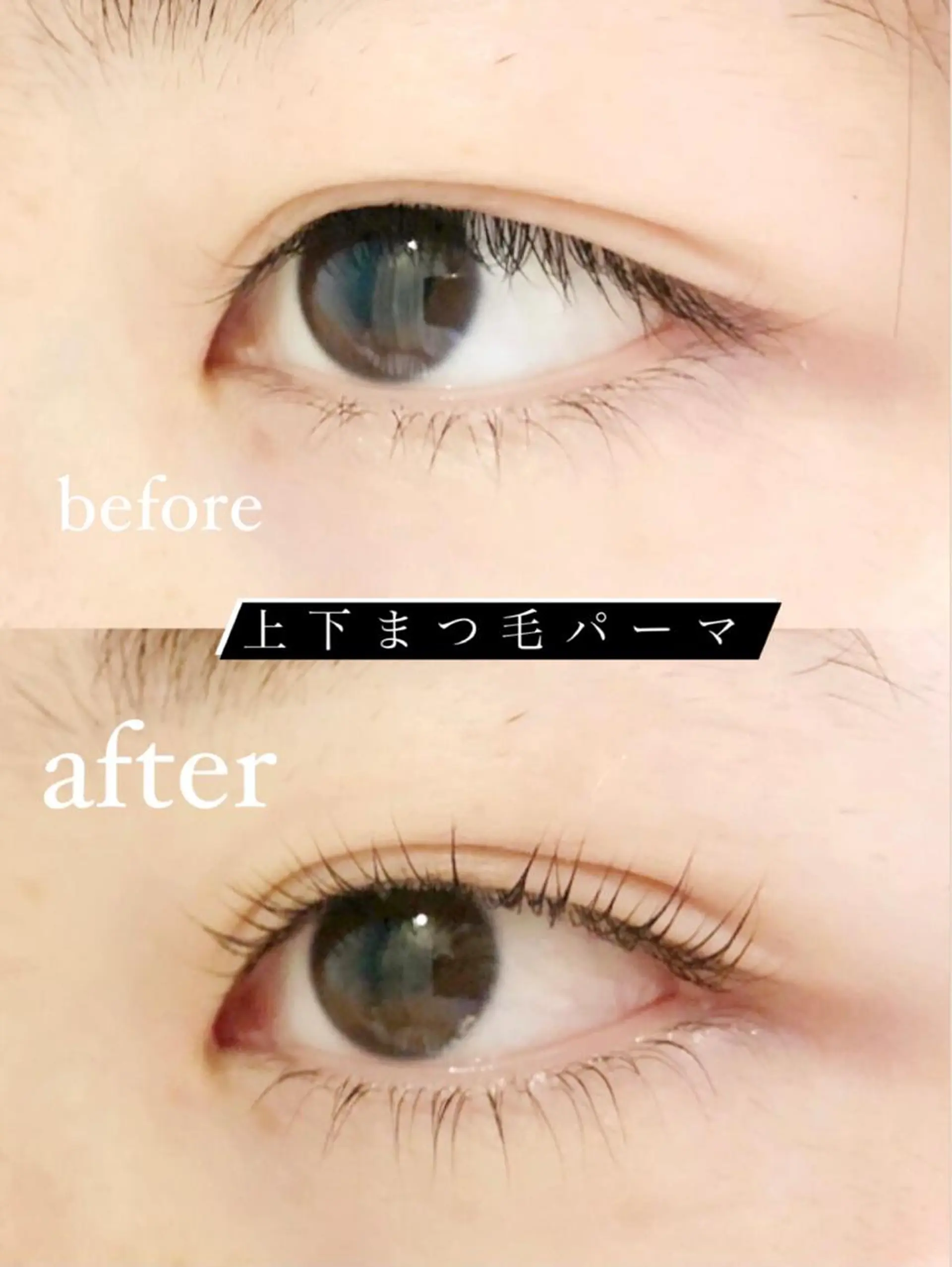 マツエク・マツパ まつげパーマ 下まつげエクステ マツパ Tsuruga Mikiの眉毛・アイブロウイメージ