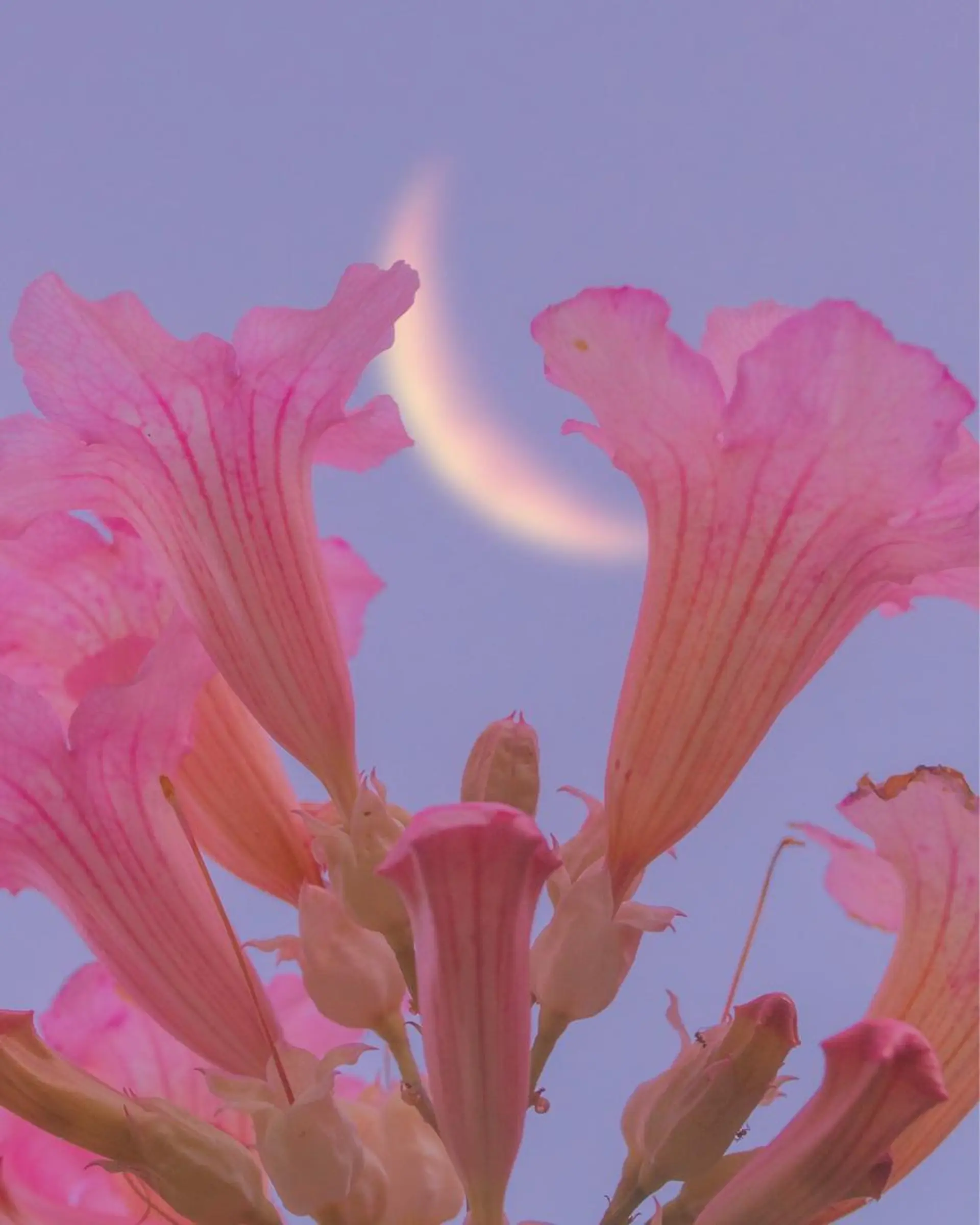 カット ヘアカラー 🦋透明感カラー🦋 CHIHARUのヘアスタイル