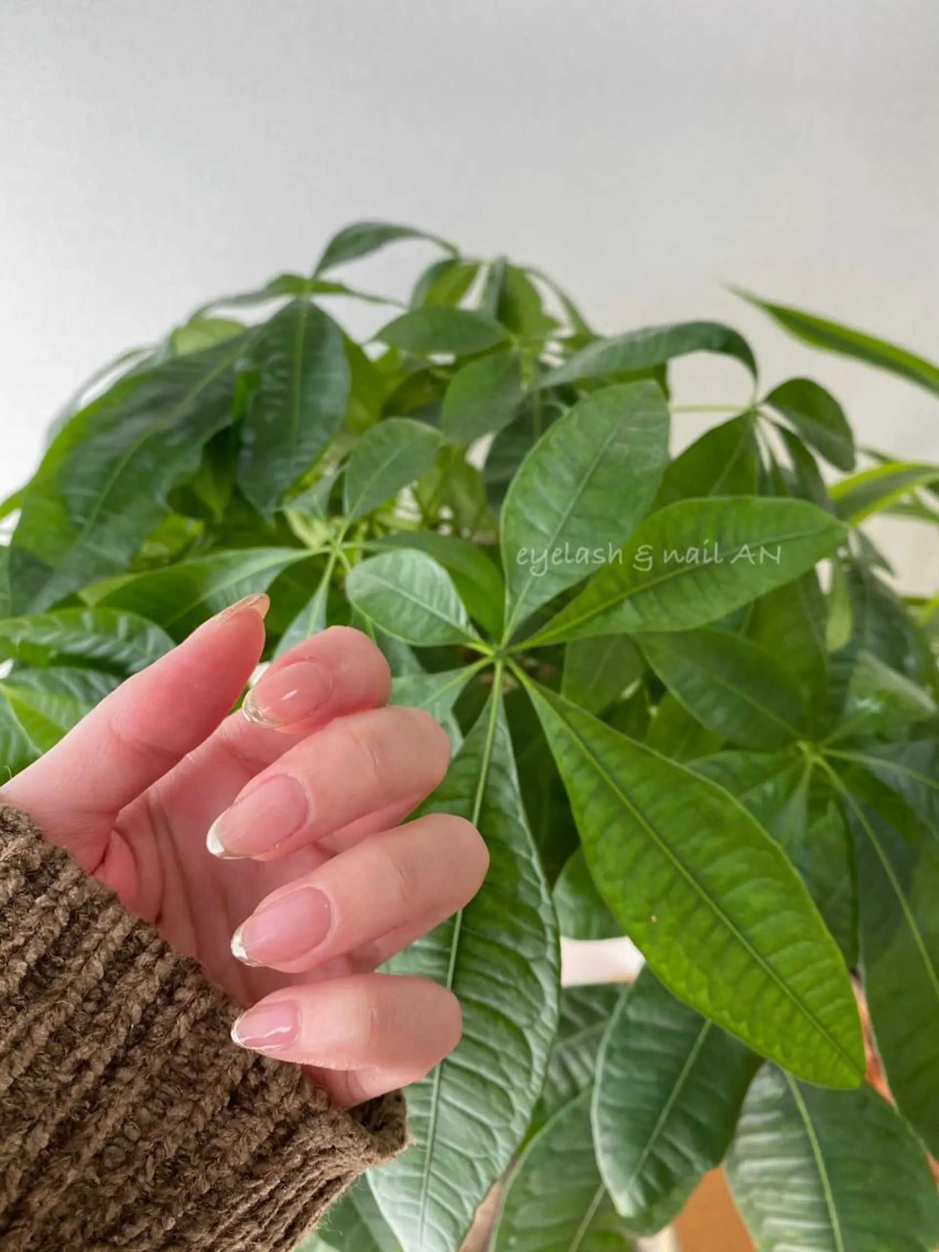 ネイル フレンチネイル ミラーネイル eyelash & nail AN所属・eyelash & nail ANのマツエク・マツパデザイン