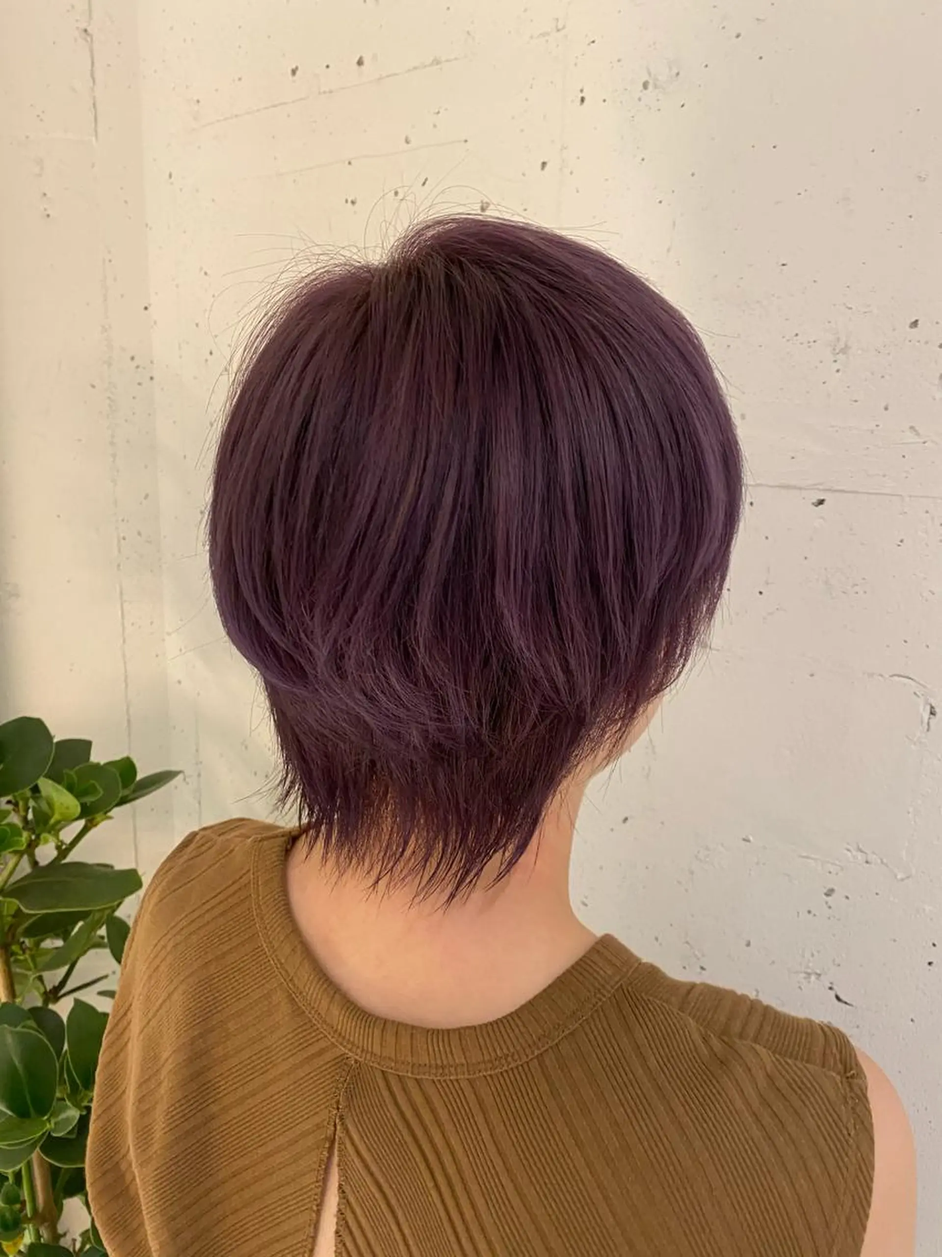 ショート カラー ナチュラル/韓国💎 haruka 💎のヘアスタイル