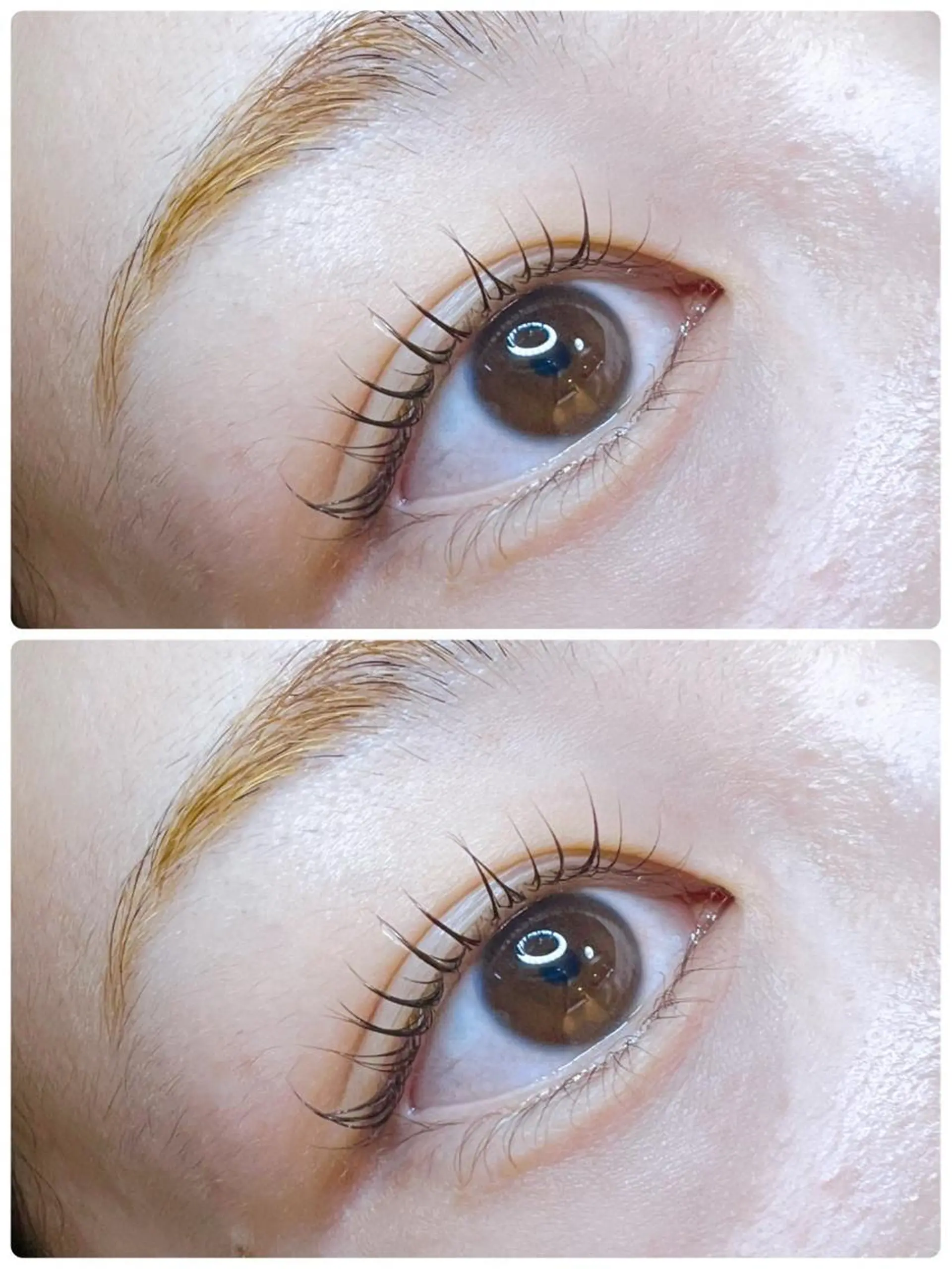 マツエク・マツパ フラットラッシュ まつげパーマ 一重×まつ毛パーマ マツパ pico所属・pico 守口 大日 門真 寝屋 摂津のマツエク・マツパデザイン