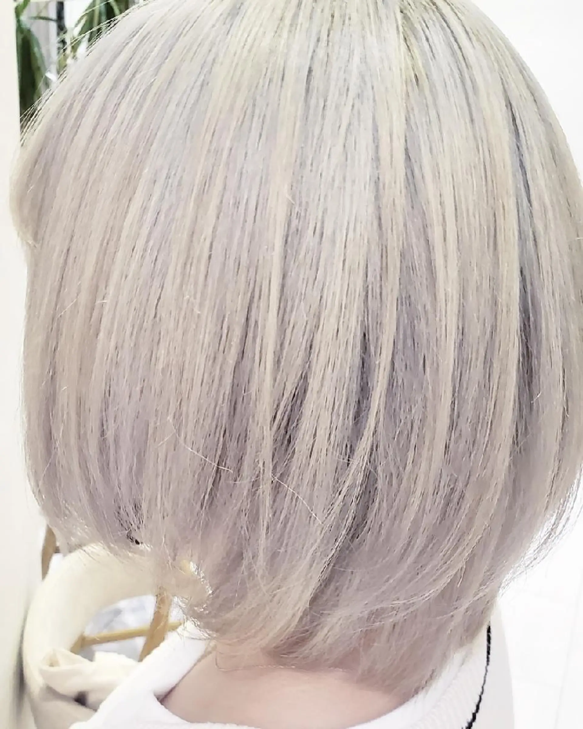 ショート カラー 🌿小川 大輔🌿のヘアスタイル