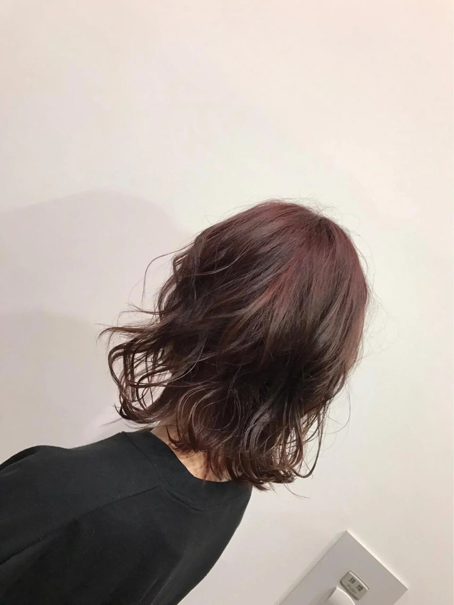 ミディアム カラー ブリーチ ブリーチなしカラー パープルカラー レッドカラー カット ヘアカラー コロレ所属・赤松 孝亮のヘアスタイル