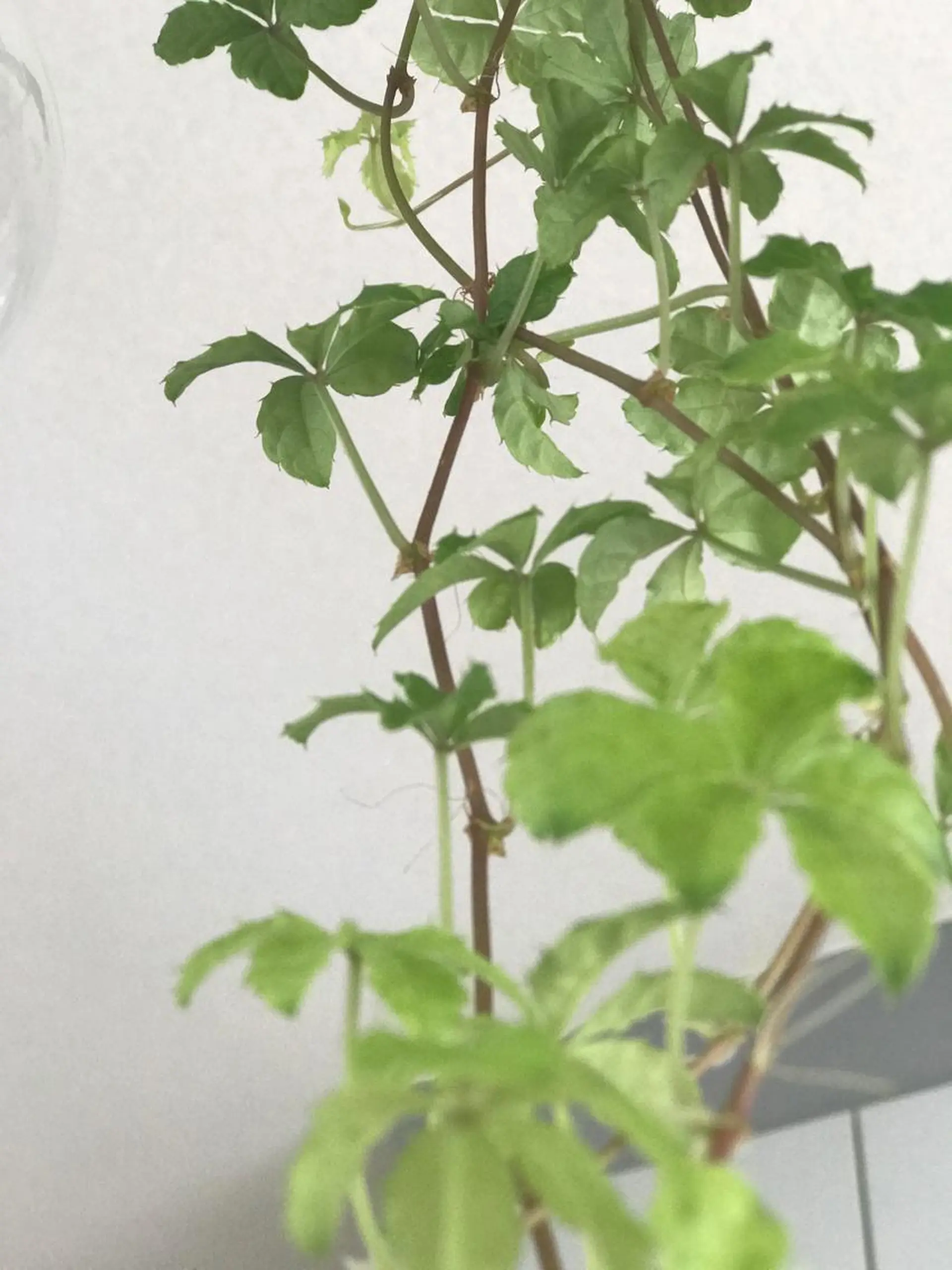 RENsalon大阪 体質改善リトリートのエステ・リラクイメージ