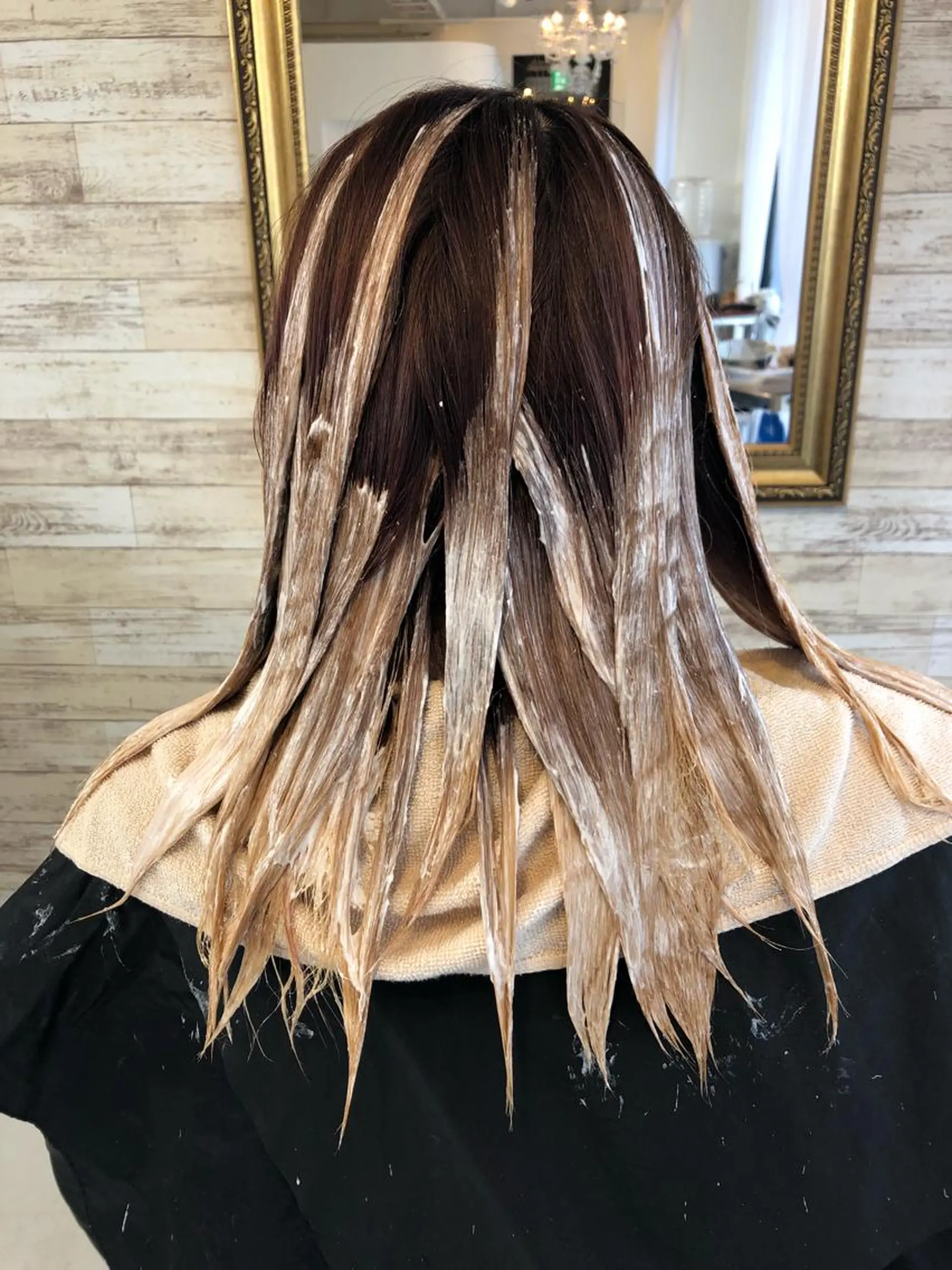 カラー MARDI GRAS 蘭丸のヘアスタイル