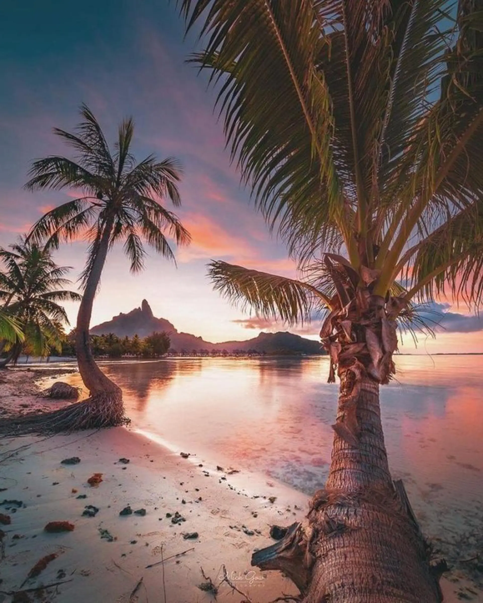 𝐘𝐎𝐒𝐇𝐈 𝐌𝐈🌞🏝のマツエク・マツパデザイン
