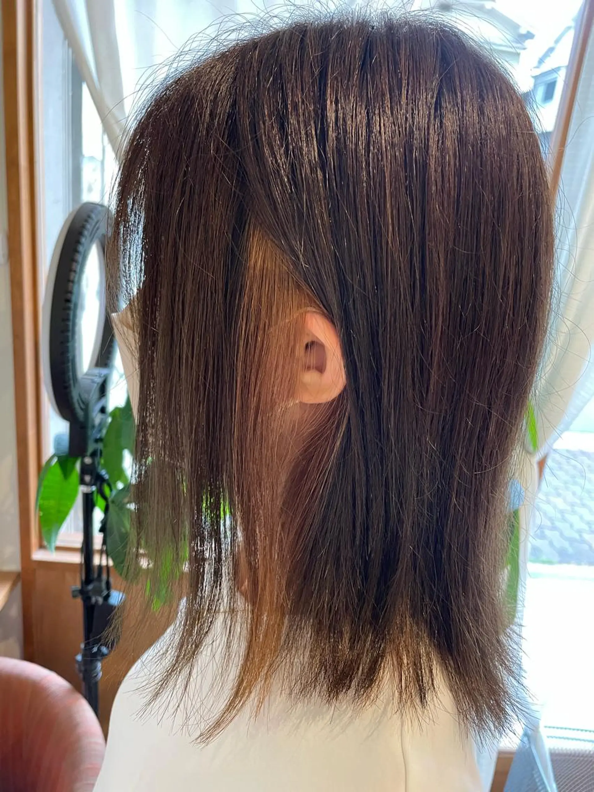 ミディアム カット ヘアカラー chillout🌱 武田安未のヘアスタイル