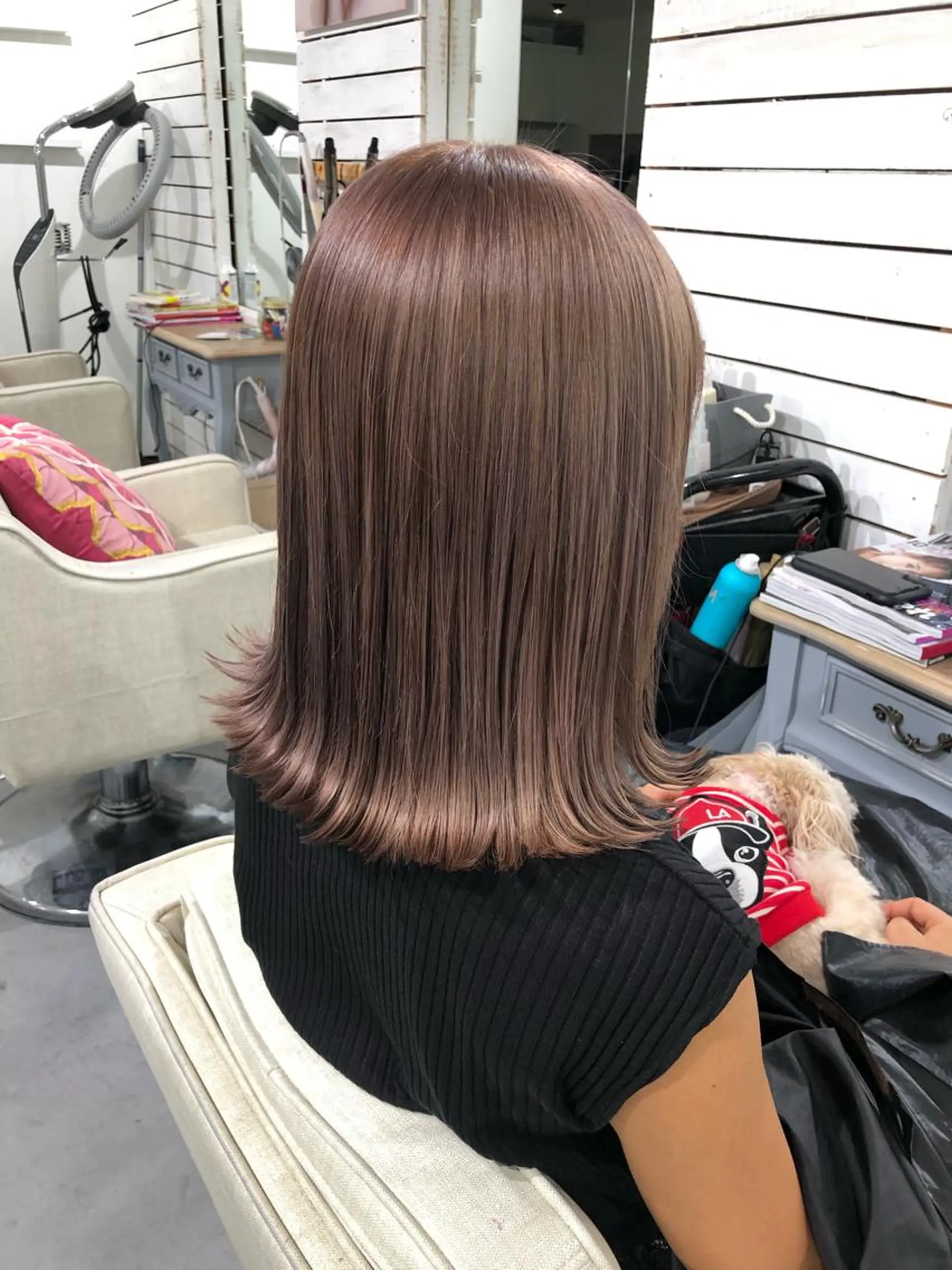 ショート カラー ベージュカラー ミルクティーベージュ ヘアカラー 🦋美髪／エクステ 🦋アベイクミのヘアスタイル