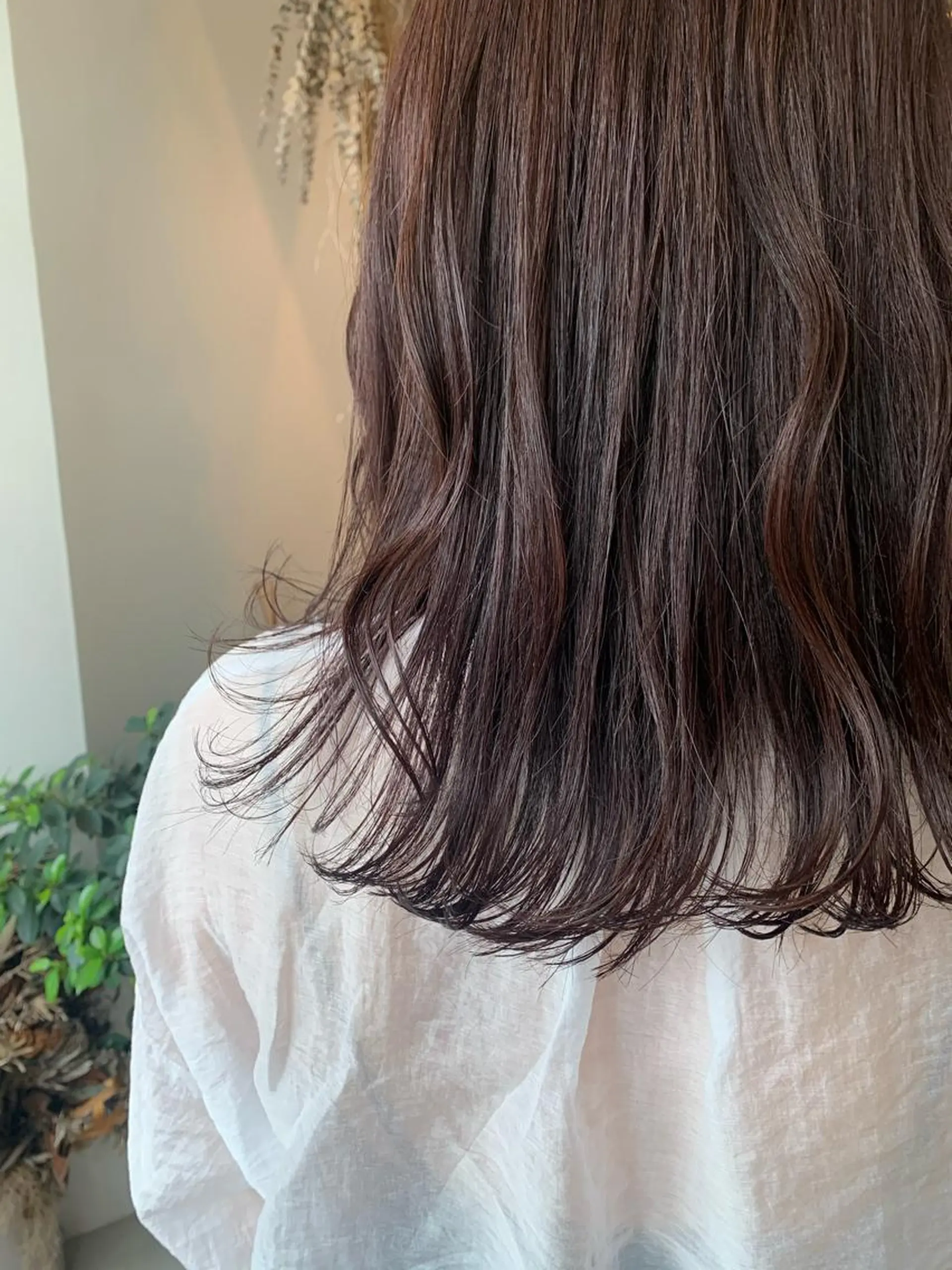 ミディアム パープルカラー misch by urban所属・暖色カラー🦢髪質 改善🪽Akaneのヘアスタイル
