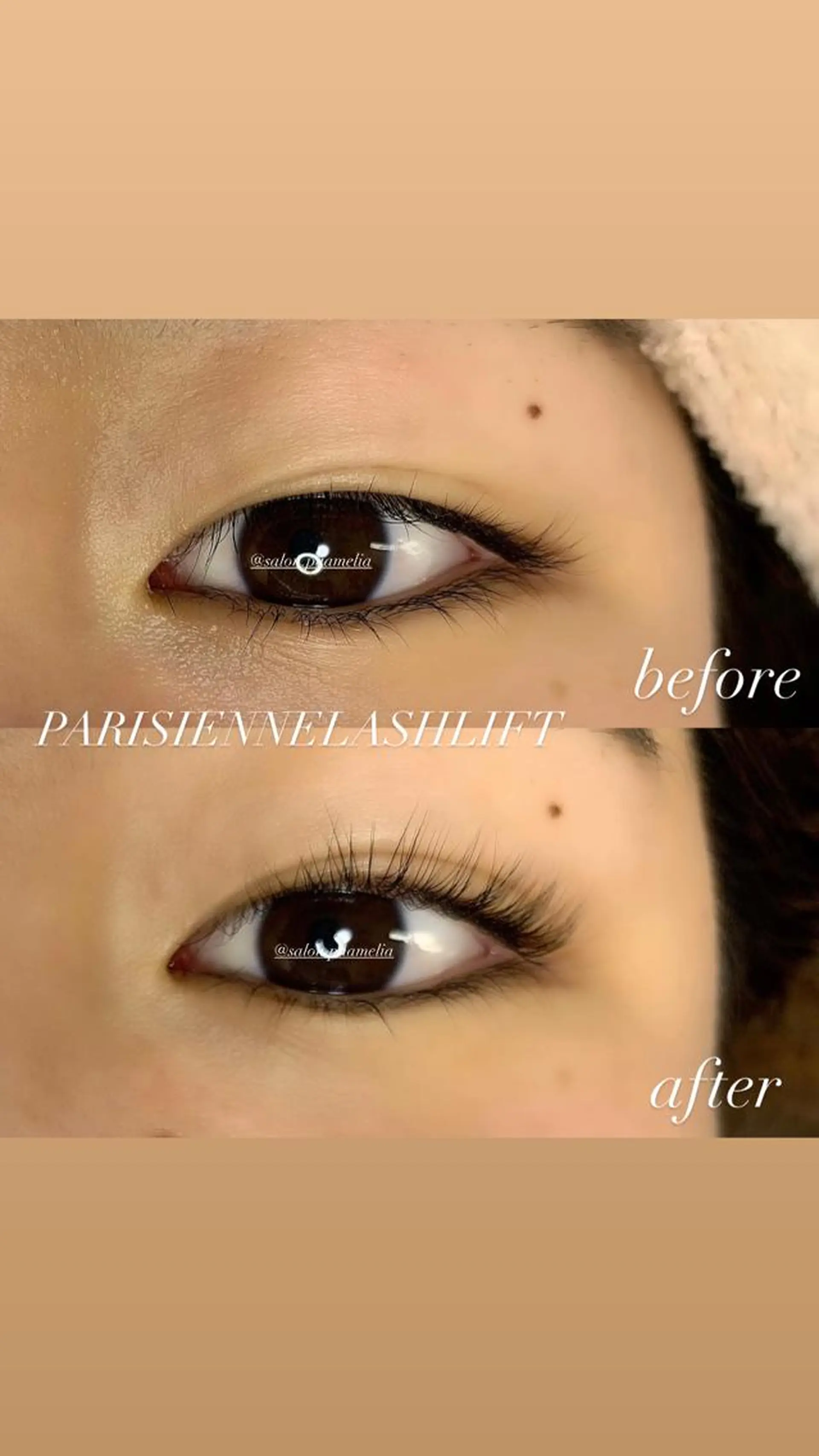 マツエク・マツパ マツパ Pua Meliaのマツエク・マツパデザイン