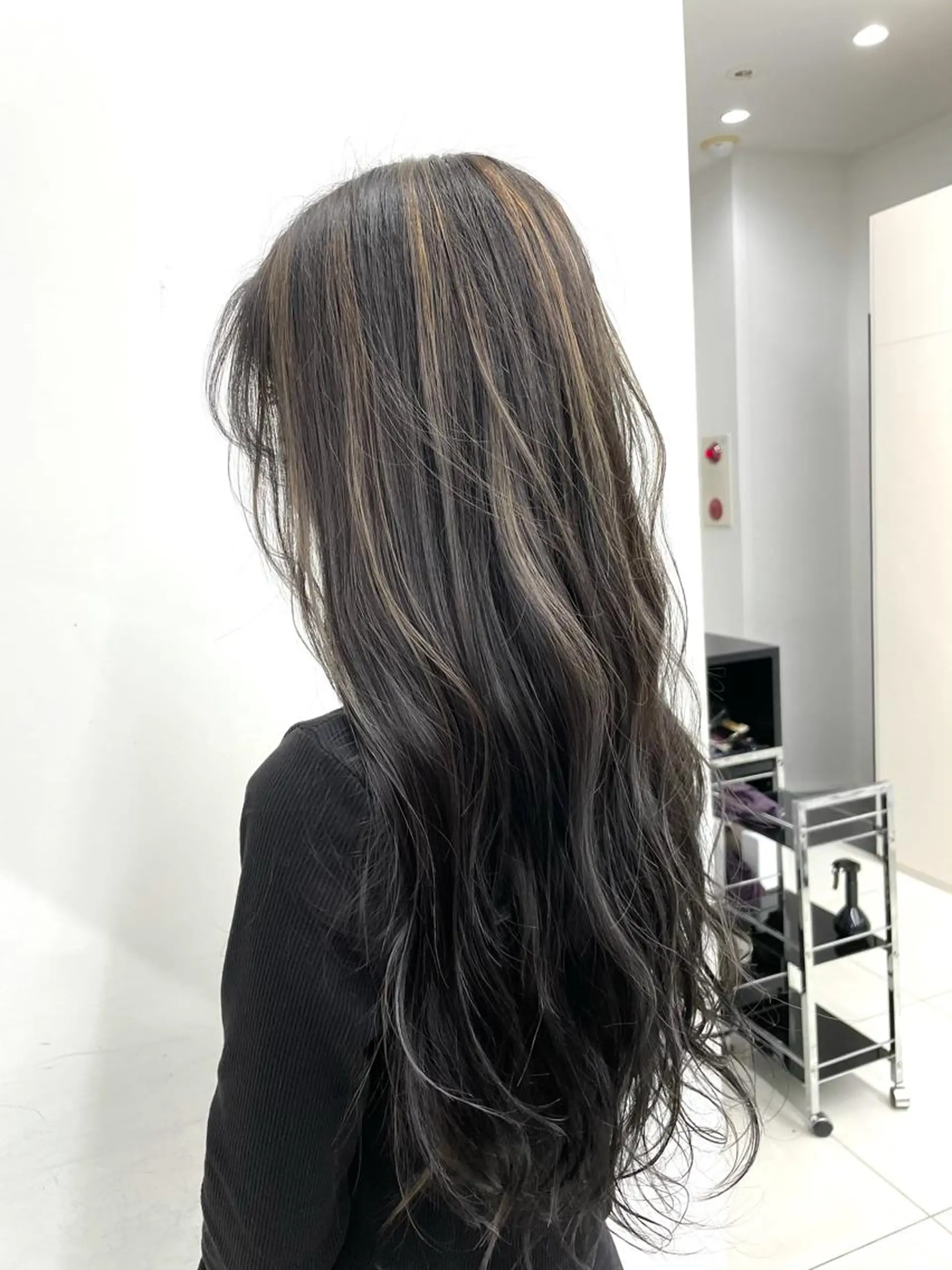 ロング カラー ヘアアレンジ ハイライトカラー ハイライト 🦄インナーカラー 🦄貫井彩花のヘアスタイル