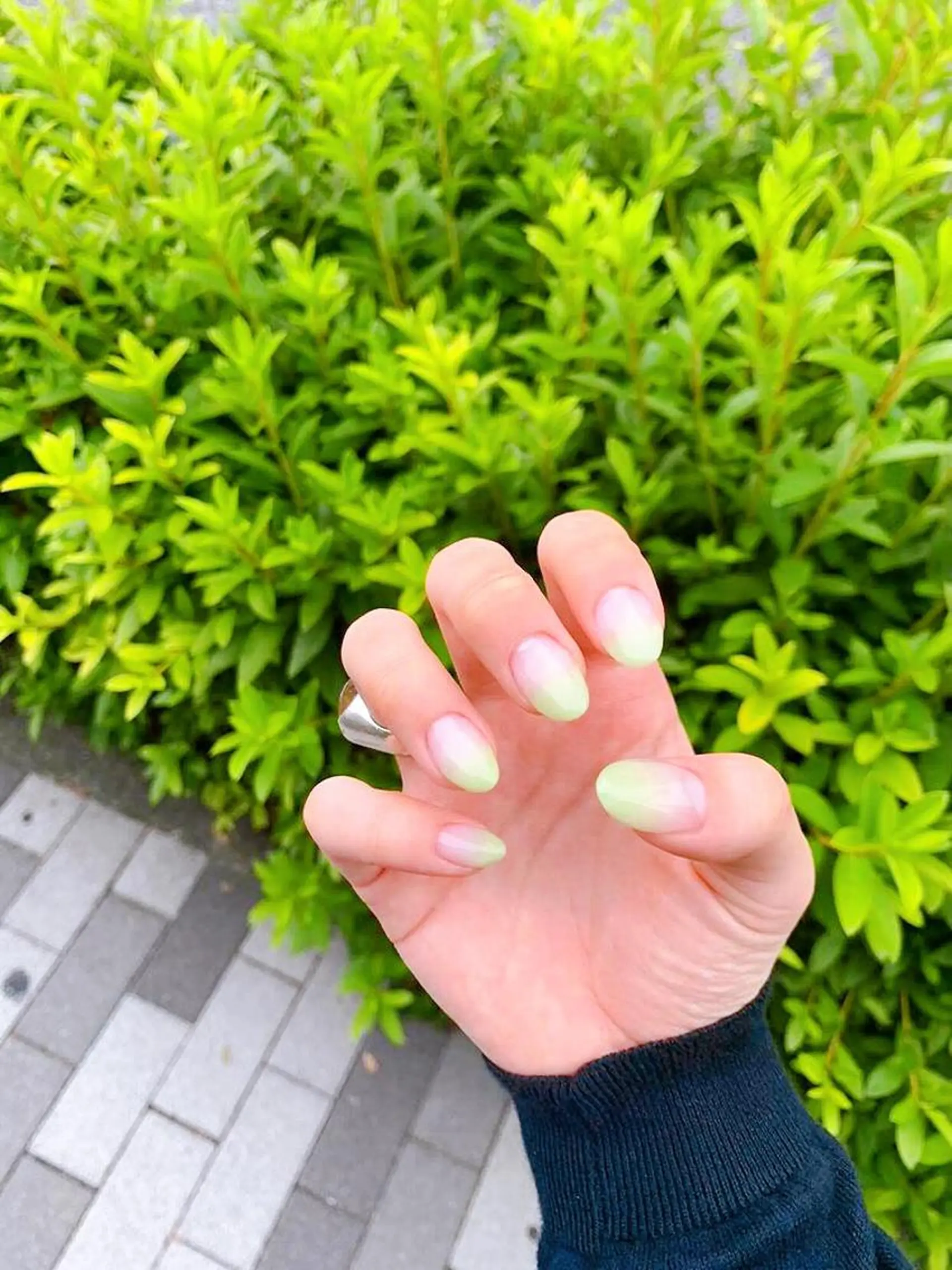ネイル グラデーション スカルプネイル nail salon　Natural Cure所属・平井 彩香のネイルデザイン