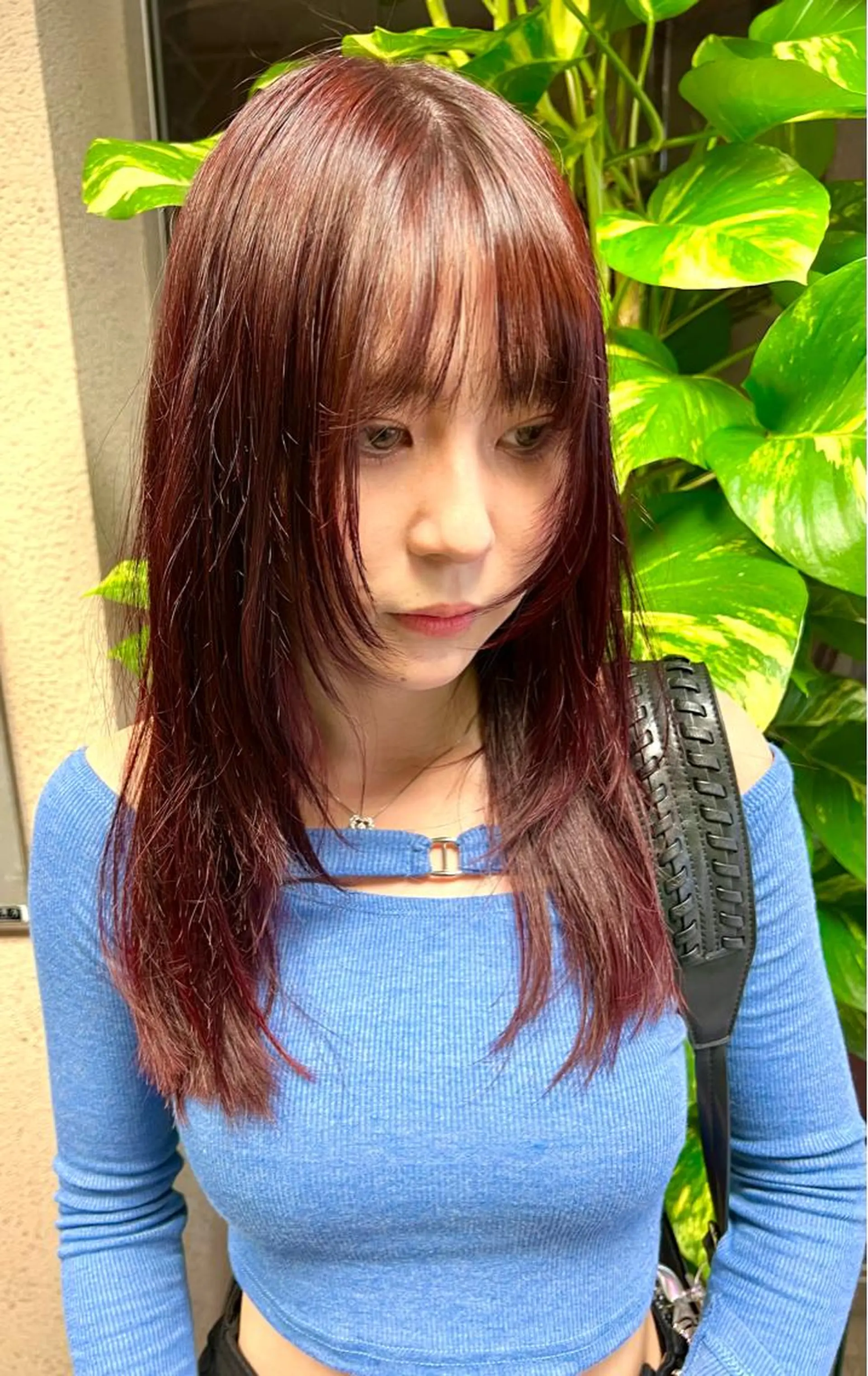 ミディアム カラー レッドカラー カット ヘアカラー トリートメント 小笠原 悠斗のヘアスタイル