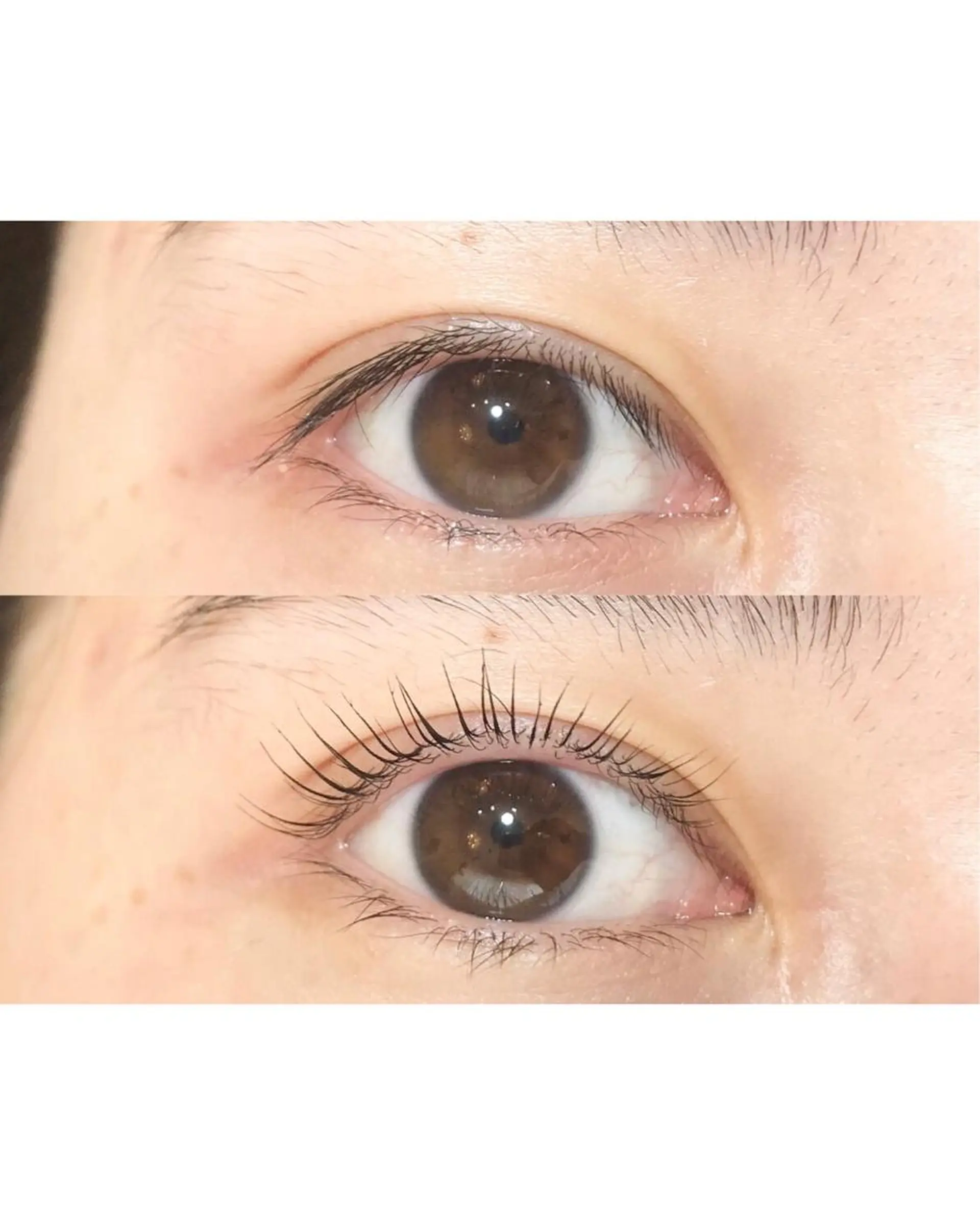 マツエク・マツパ étora eye渋谷のマツエク・マツパデザイン