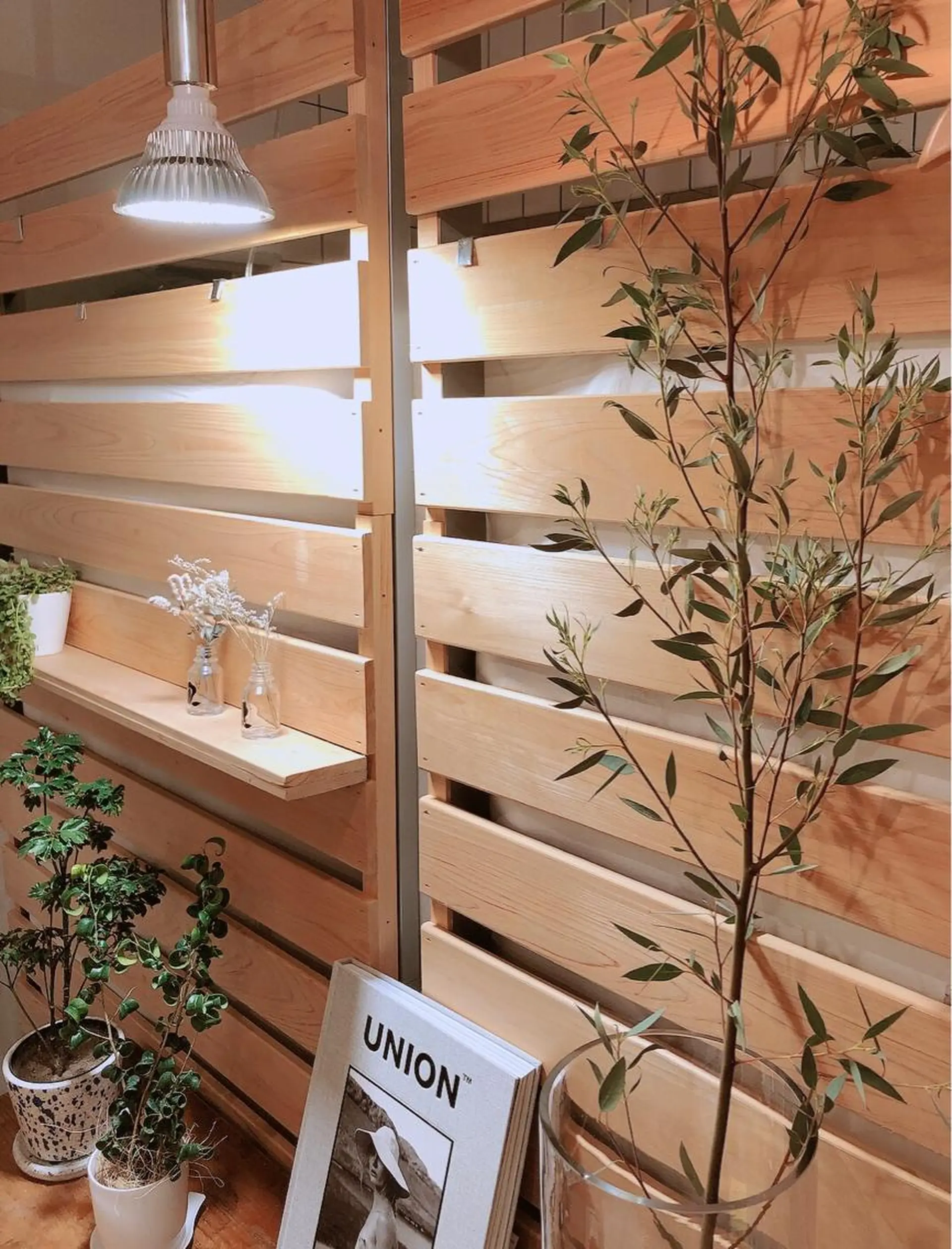 マツエク・マツパ なかむら 🪡の眉毛・アイブロウイメージ