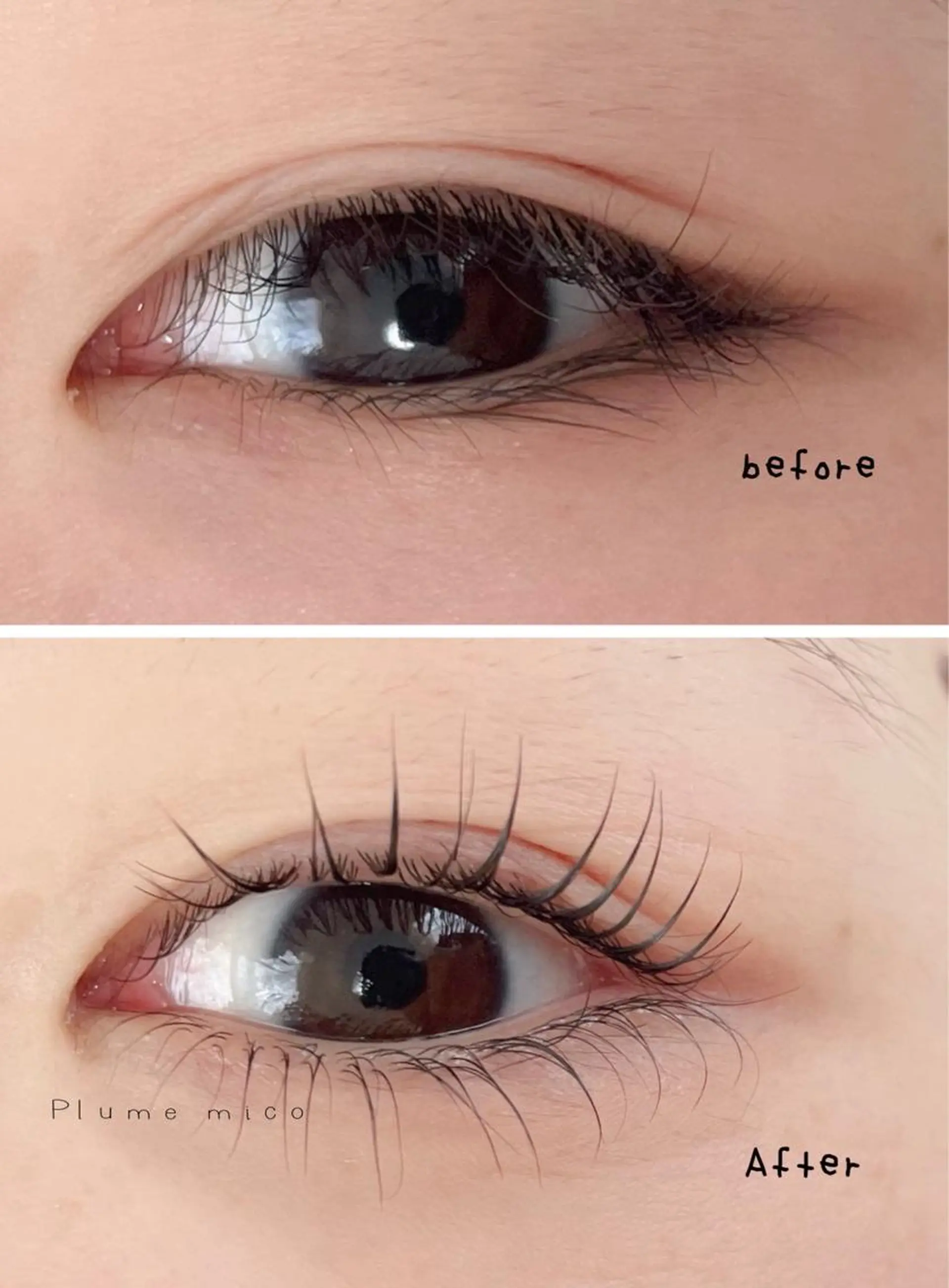 マツエク・マツパ マツパ Plume micoのマツエク・マツパデザイン