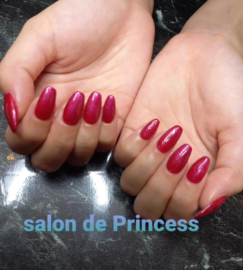ネイル マグネットネイル salon de  Princessのネイルデザイン