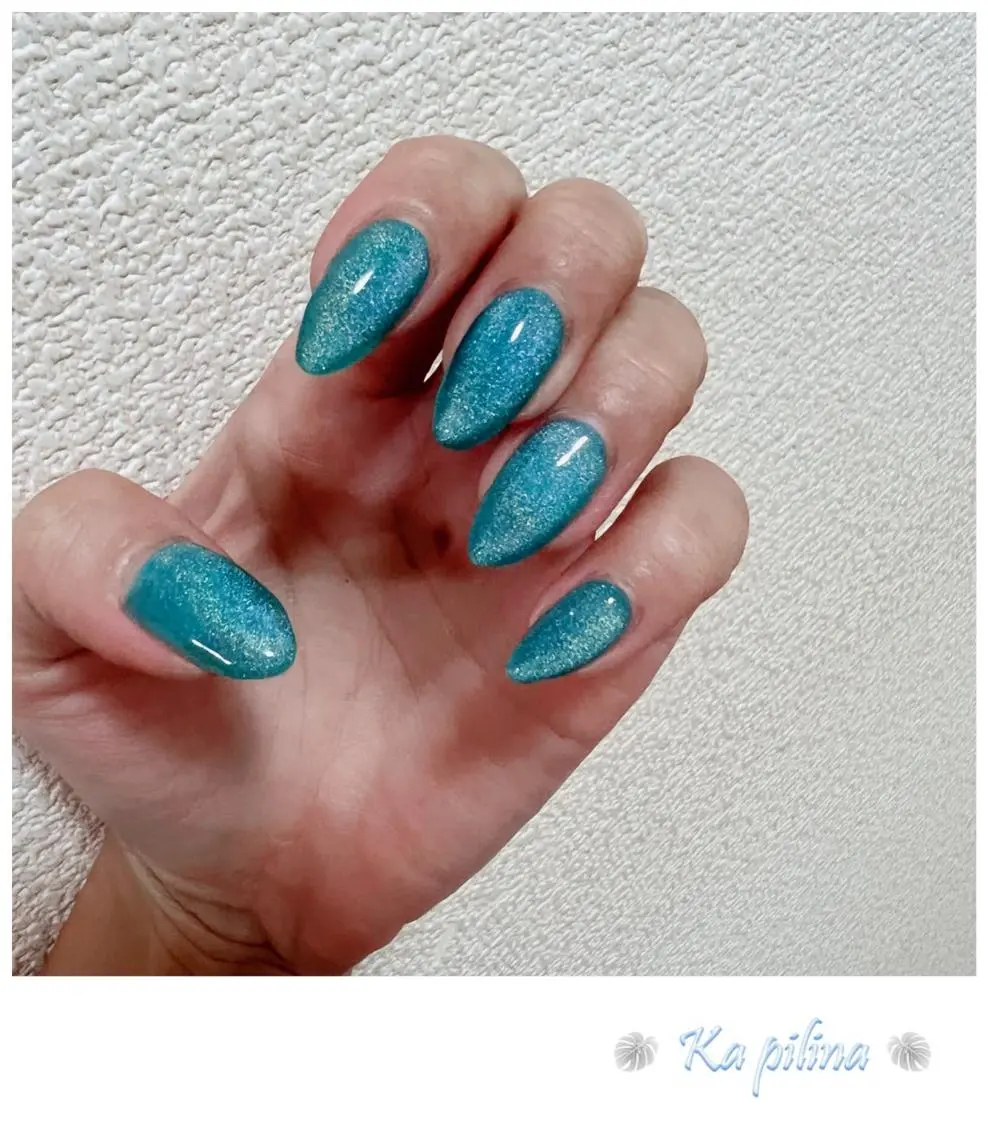 ネイル マグネットネイル Nail salon Ka pilinaのネイルデザイン
