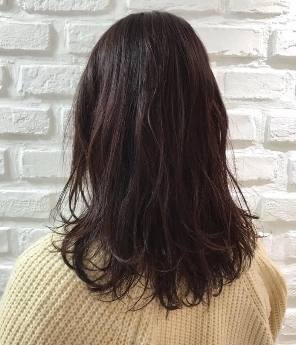 ミディアム カラー カシス カット ヘアカラー 【暖色カラー特化】 中山由梨のヘアスタイル