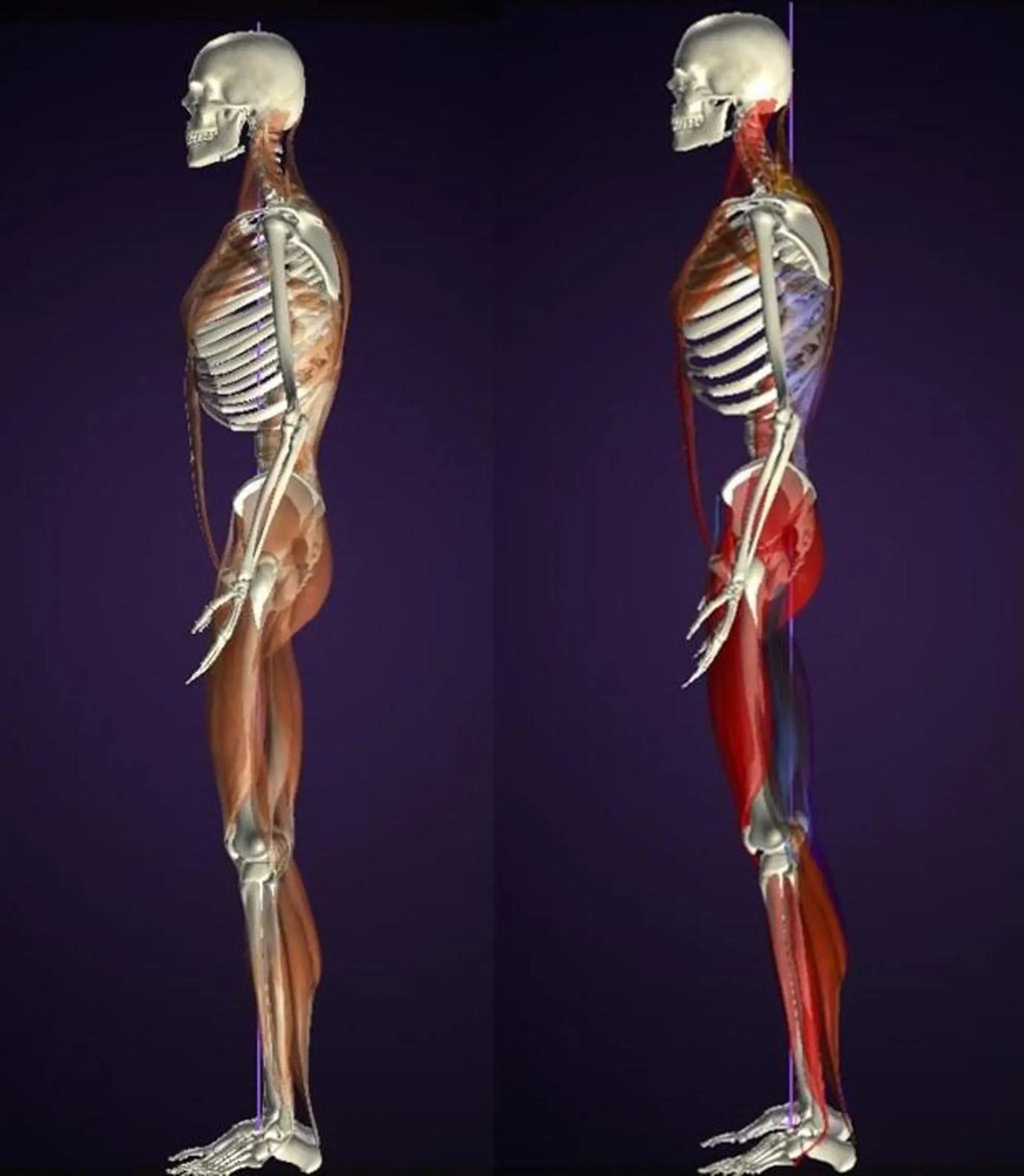 谷渡 晴樹のエステ・リラクイメージ