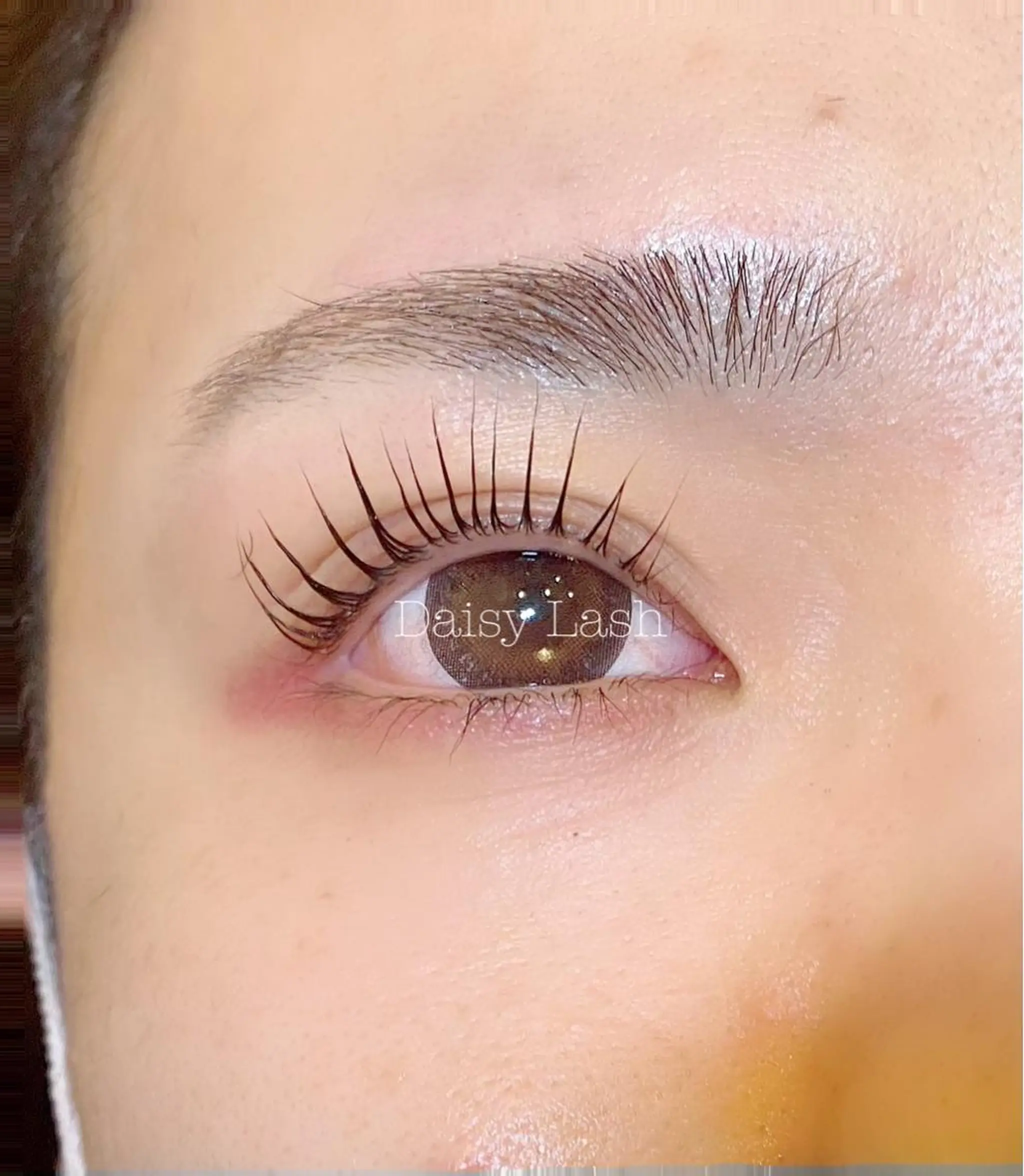 マツエク・マツパ Daisy Lashのマツエク・マツパデザイン