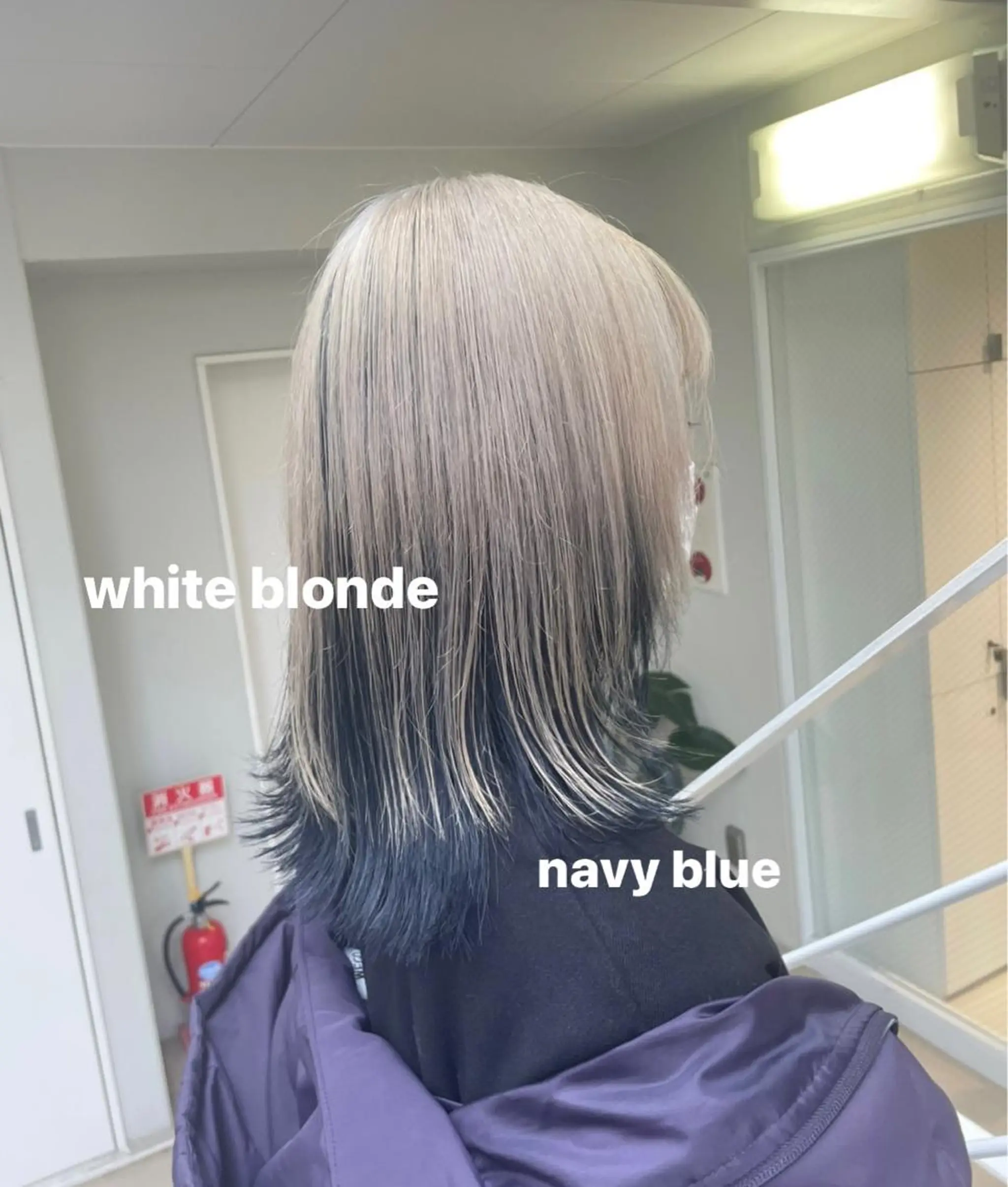 カラー デザインカラー miko🪽地毛風/ ハイトーン/レイヤーのヘアスタイル