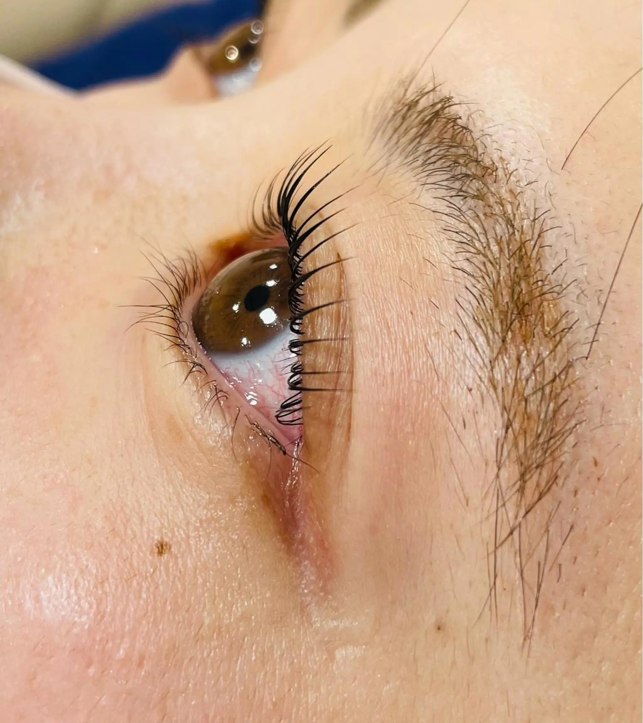 マツエク・マツパ マリーテレジア 研修モデル専用のマツエク・マツパデザイン