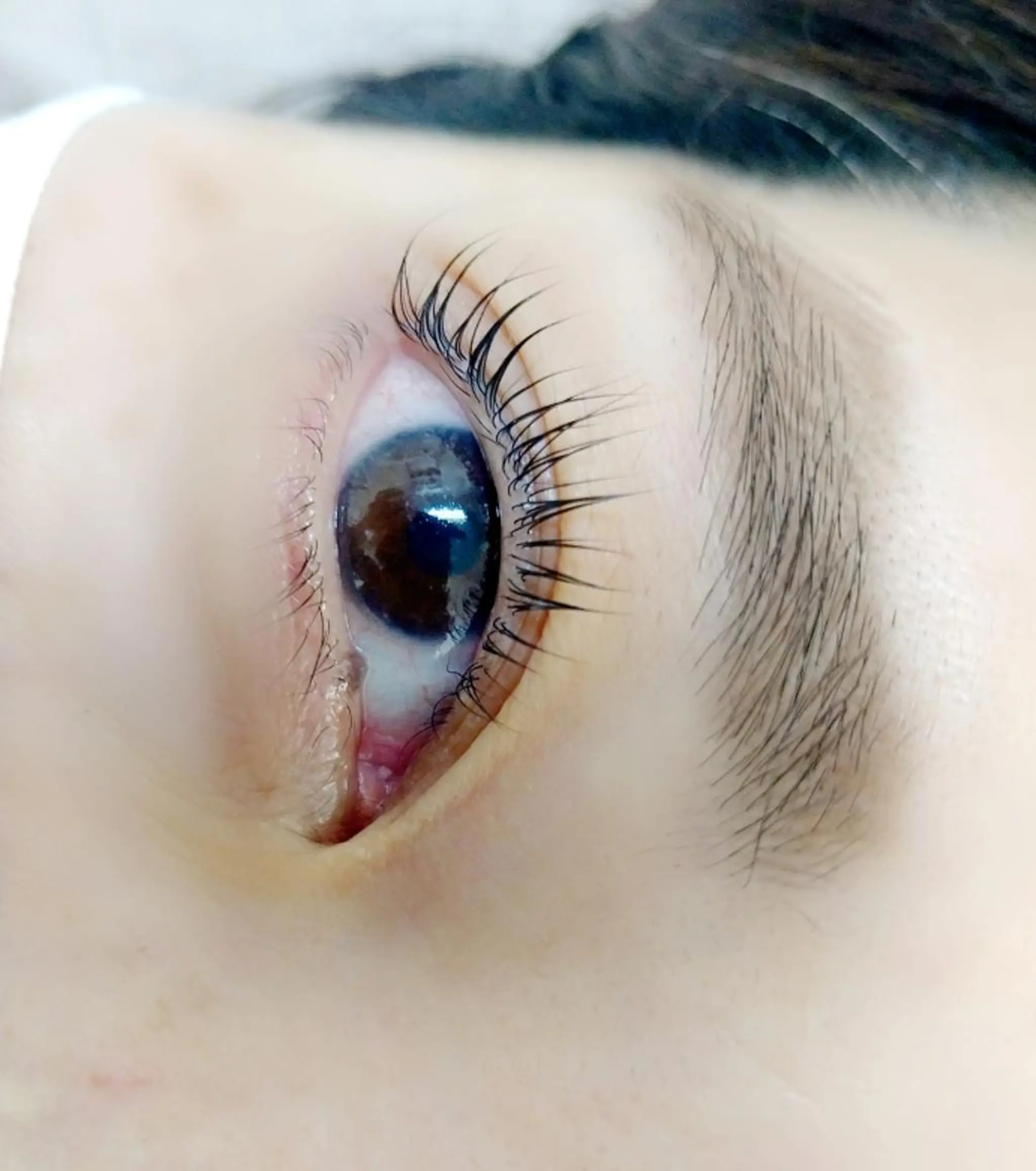 マツエク・マツパ ナチュラル 一重×まつ毛パーマ マツパ maison calmeのマツエク・マツパデザイン