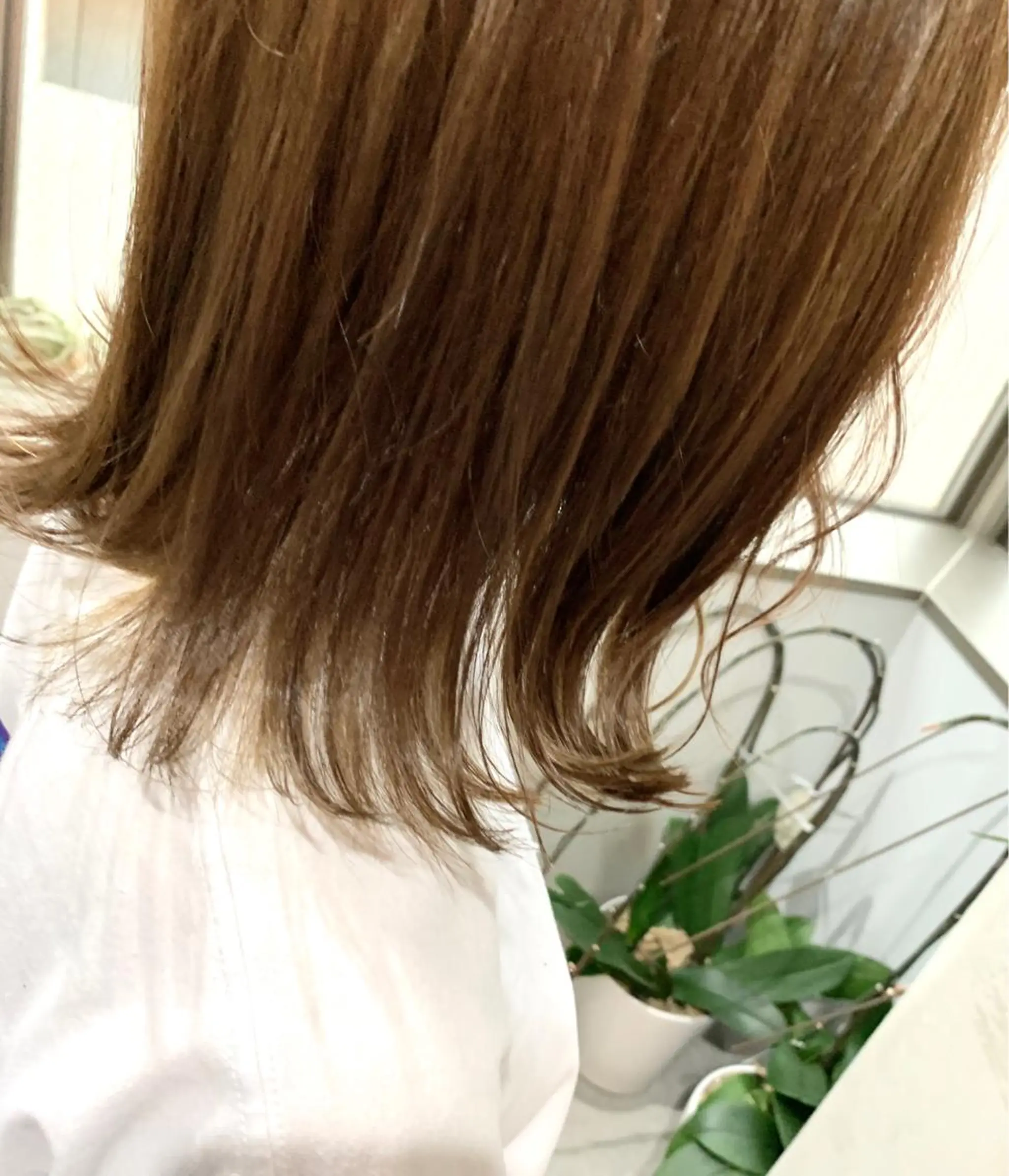 ミディアム カラー 立川/シールエクステ /みづきのヘアスタイル